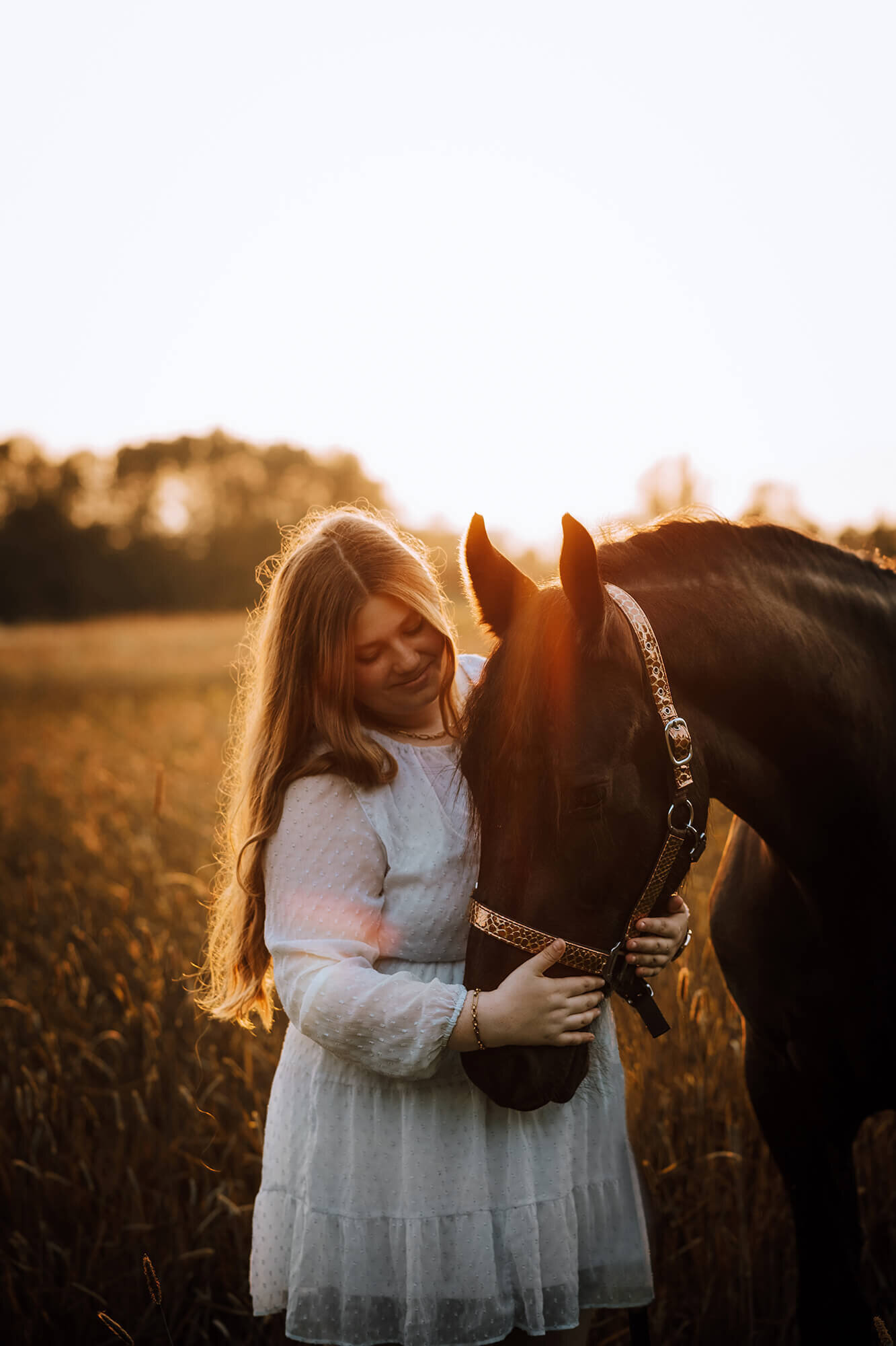 JNSW-paard-zonsopgang