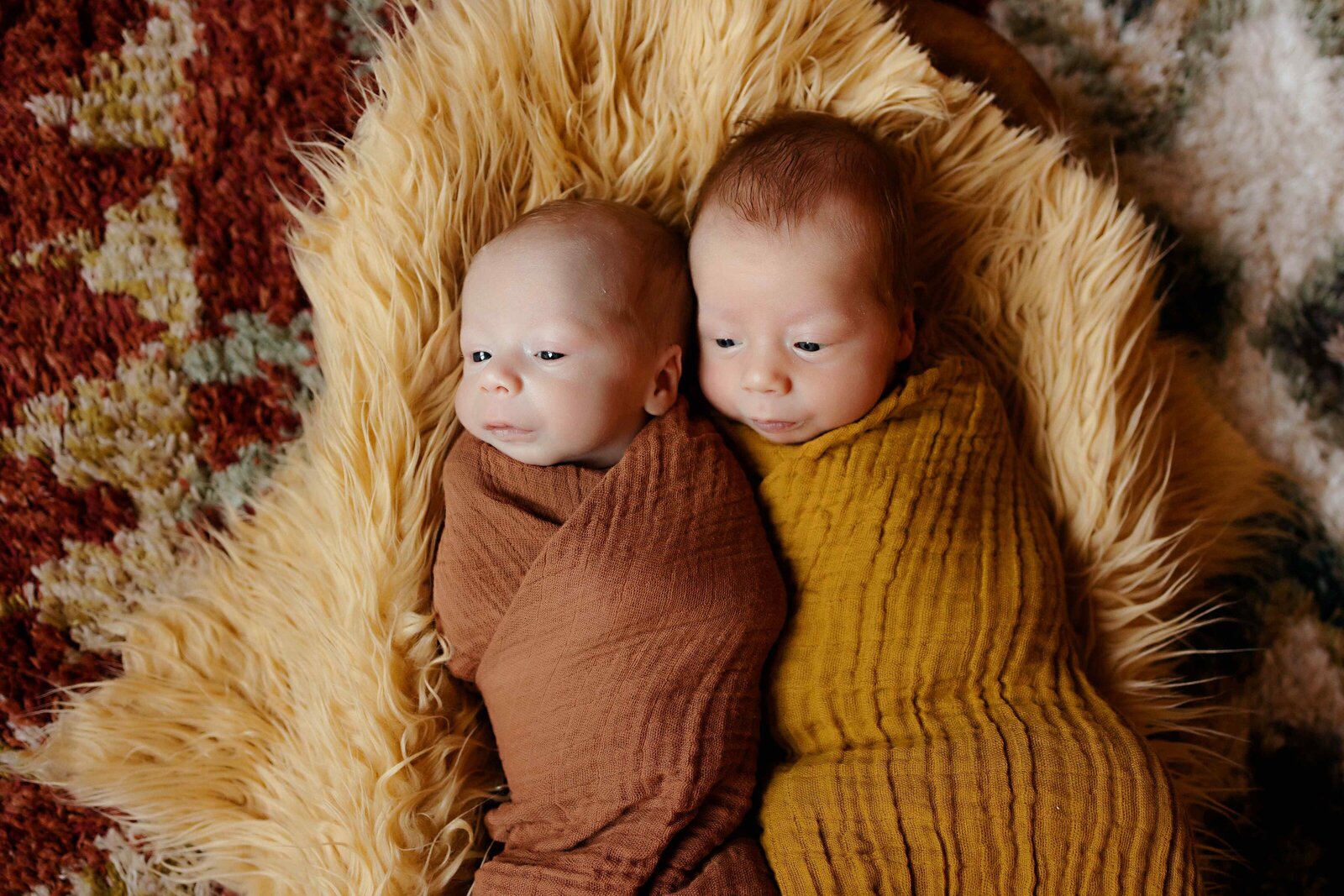 newborn-twins-photographer-central-virginia