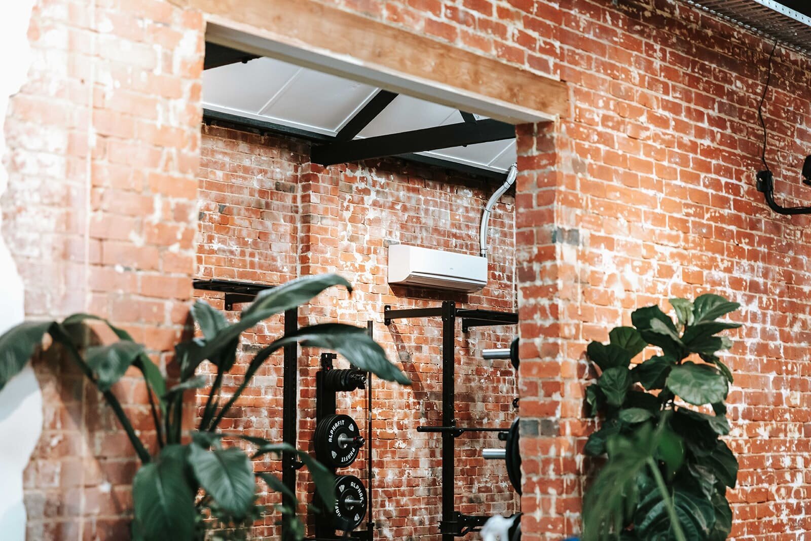 "Industrial-style brick wall with plants and weightlifting equipment in a Brunswick gym."