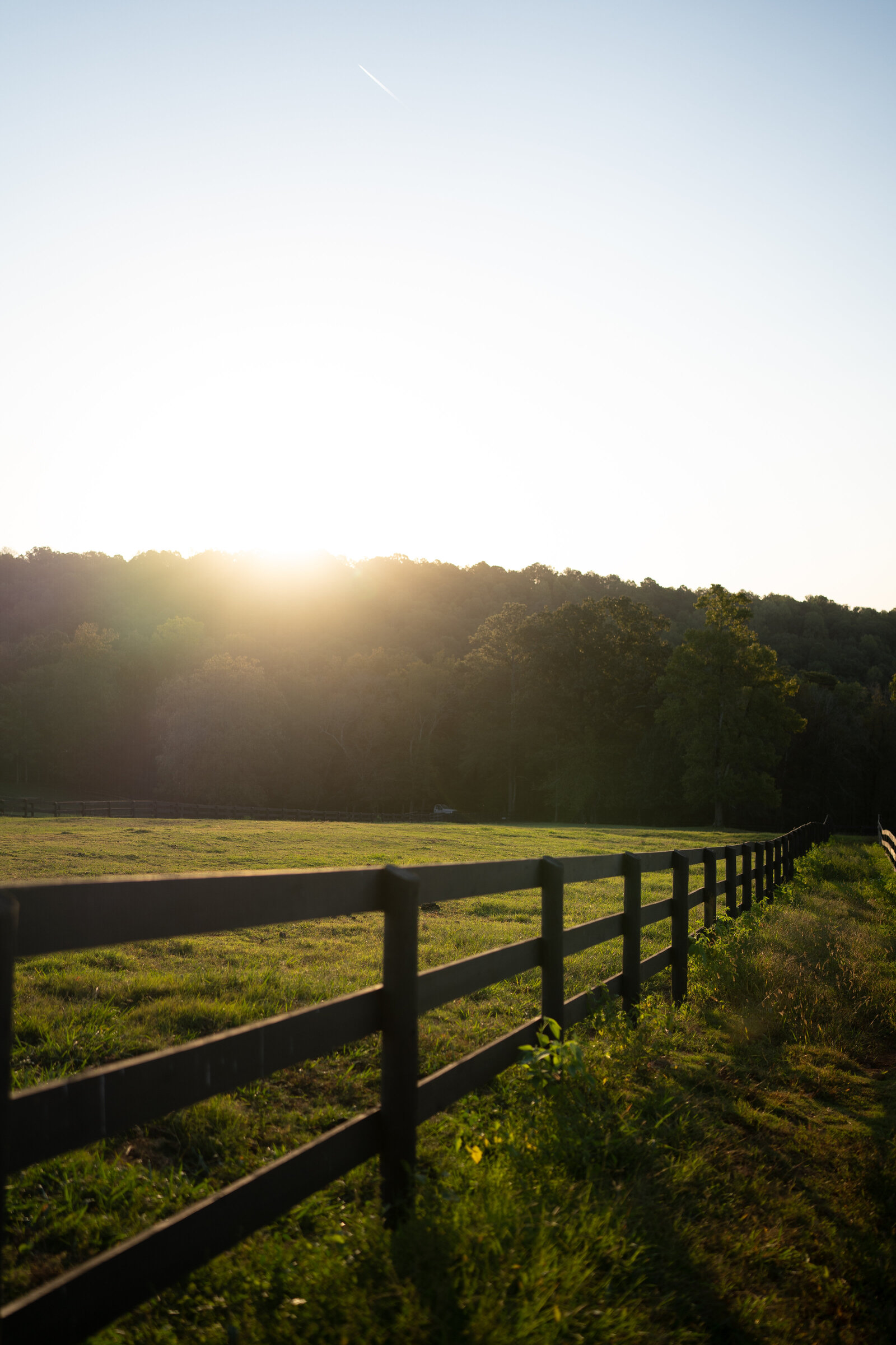 mjmphotography.blackjack.2024-29