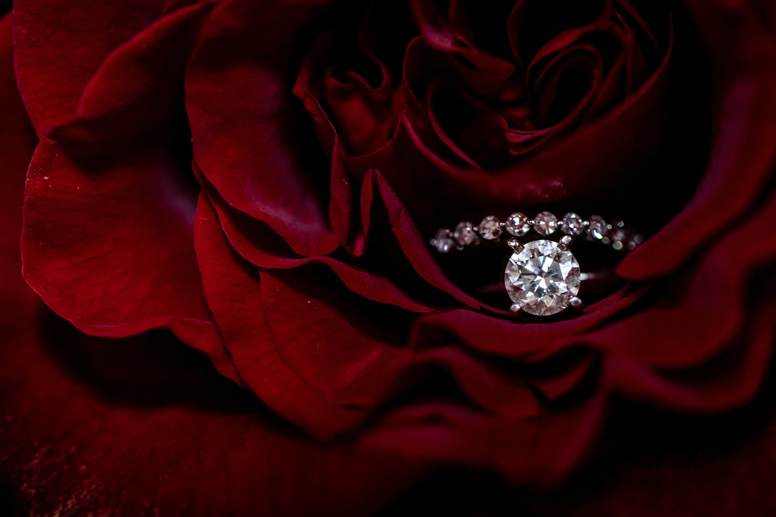 Wonsyld Wedding-47