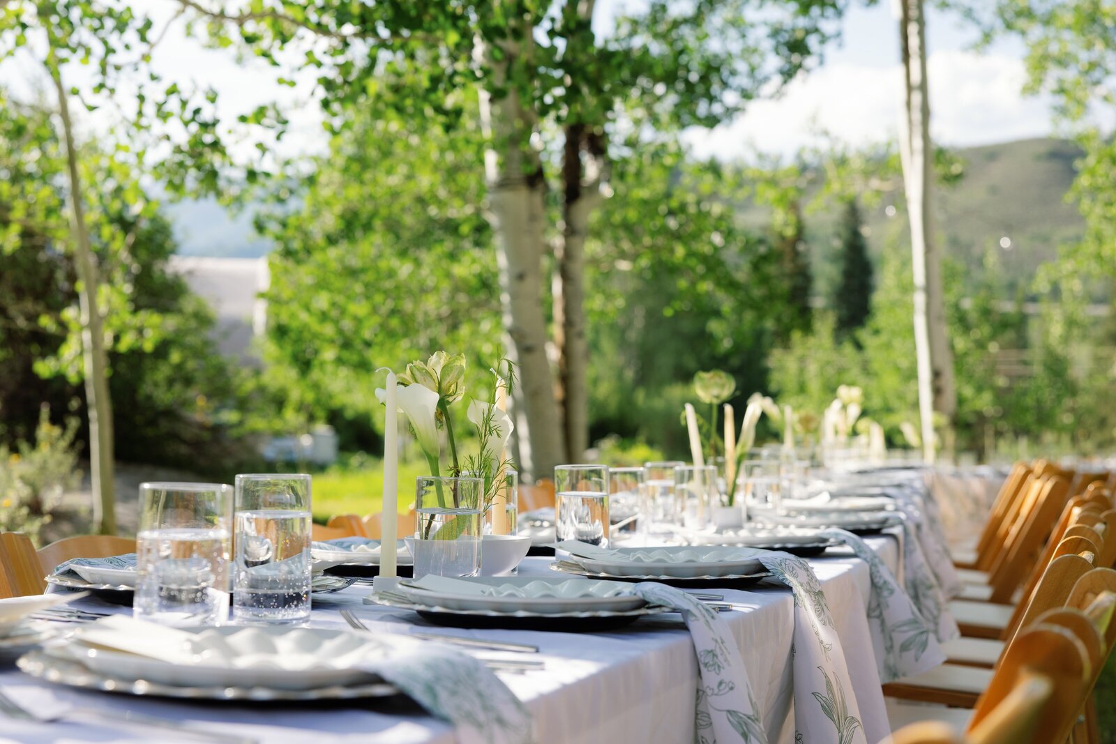 cassidymichael_coloradowedding_stillsbytrinity-42