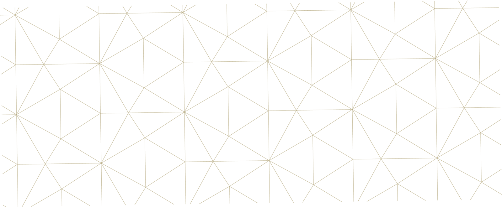 Background Image with Geometric Lines