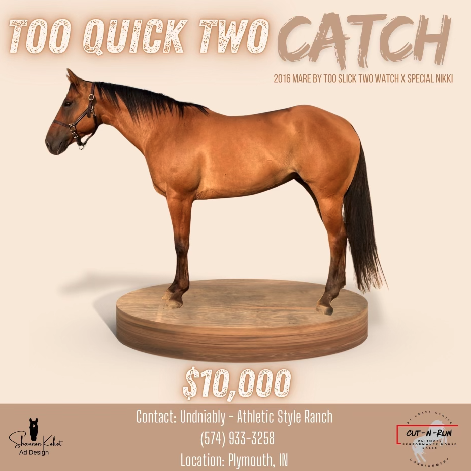 Tooquicktwocatch