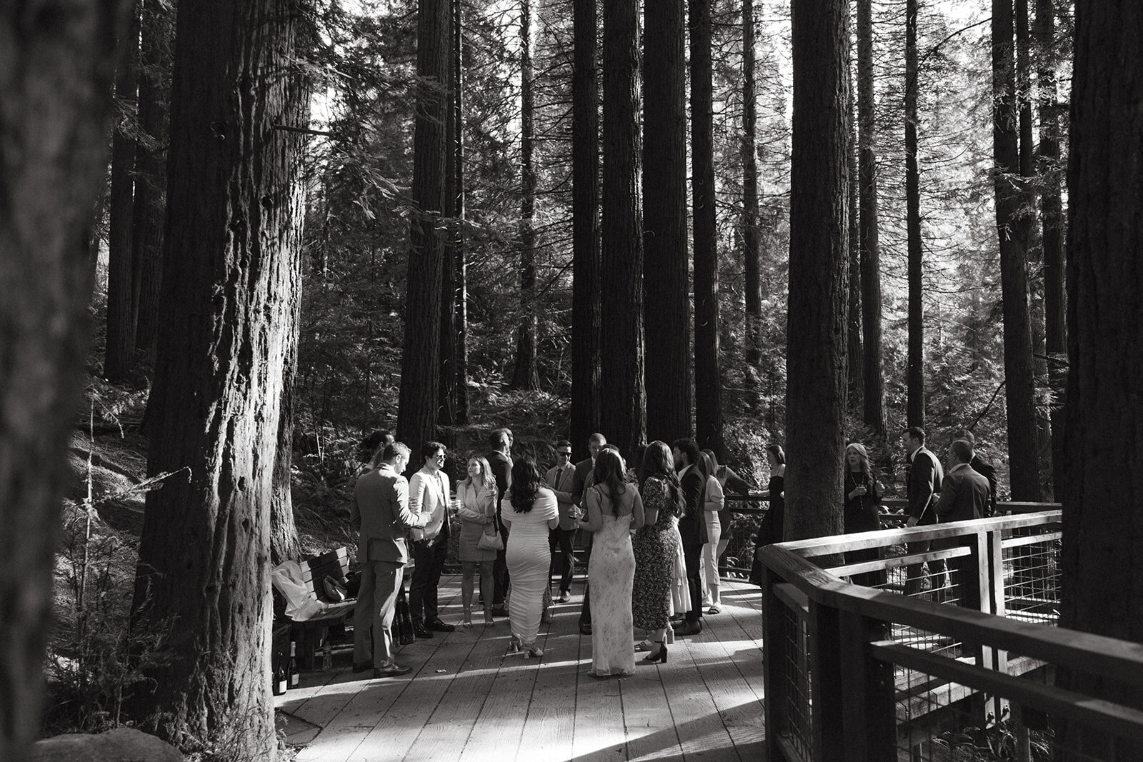 TaylorRoachPhoto-25119_websize