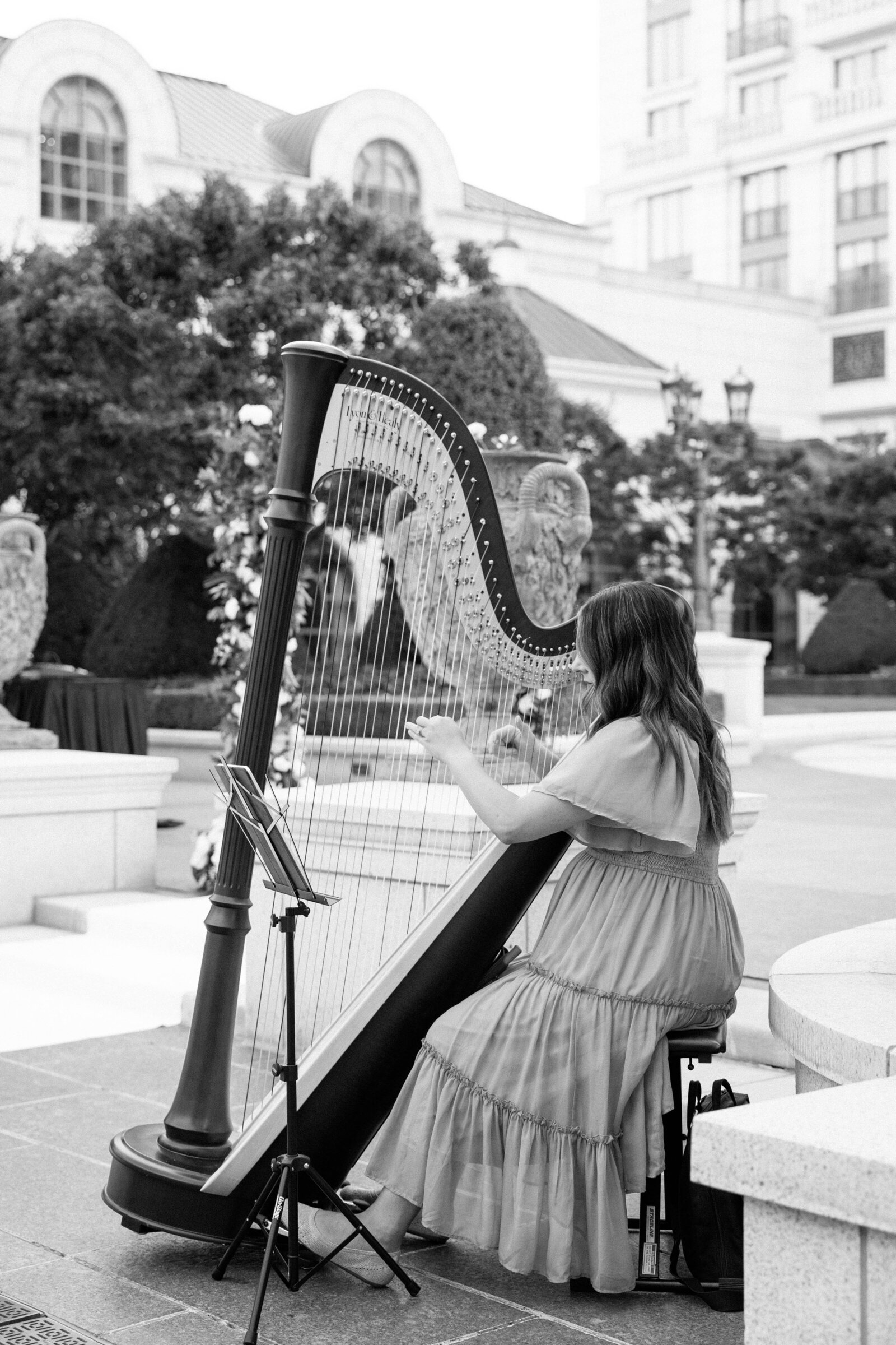 IMG_3797