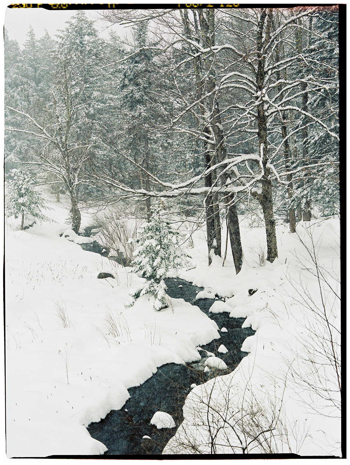 P65228ABam041803-R3-031-2_websize