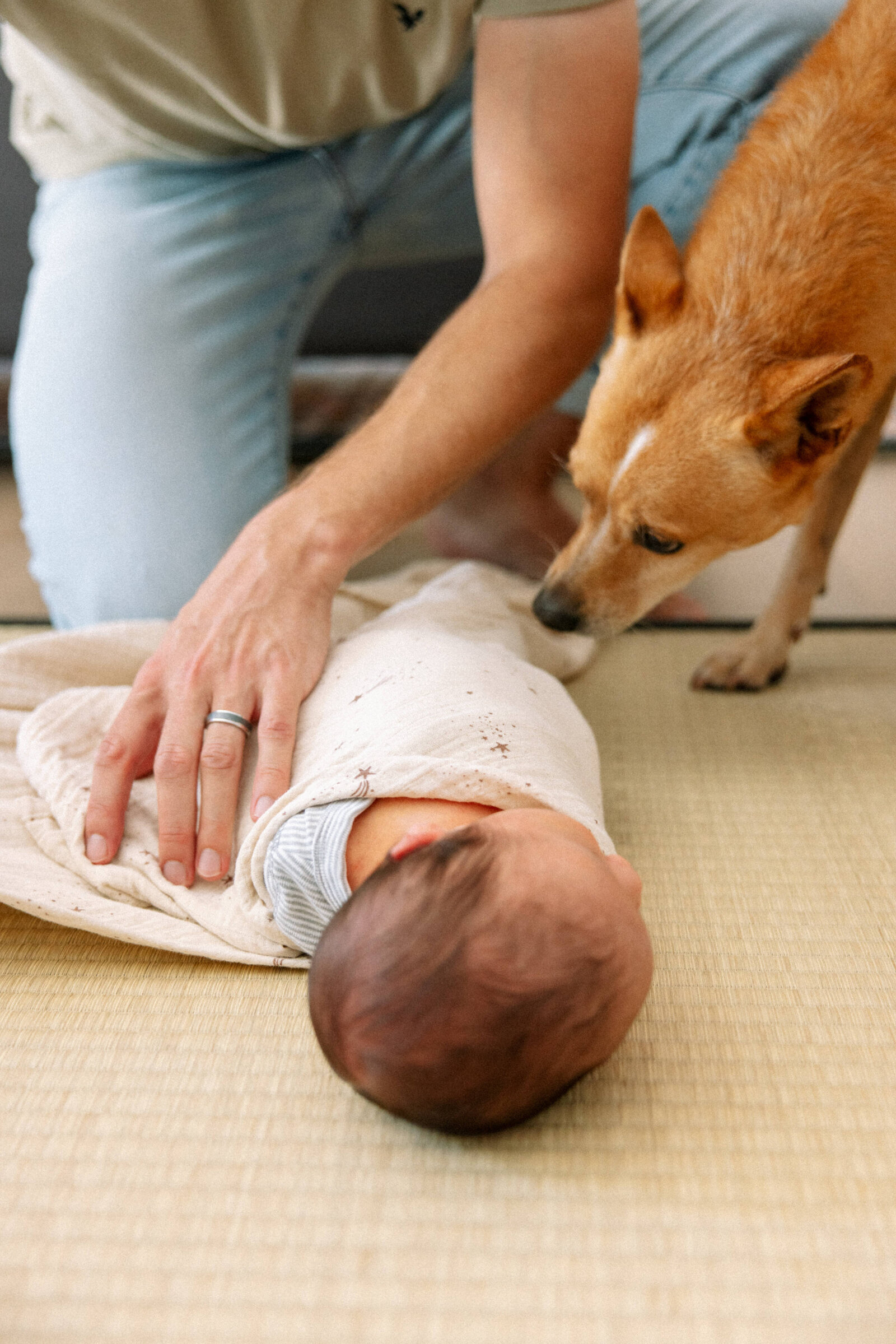 newborn documentary photos at home with pets