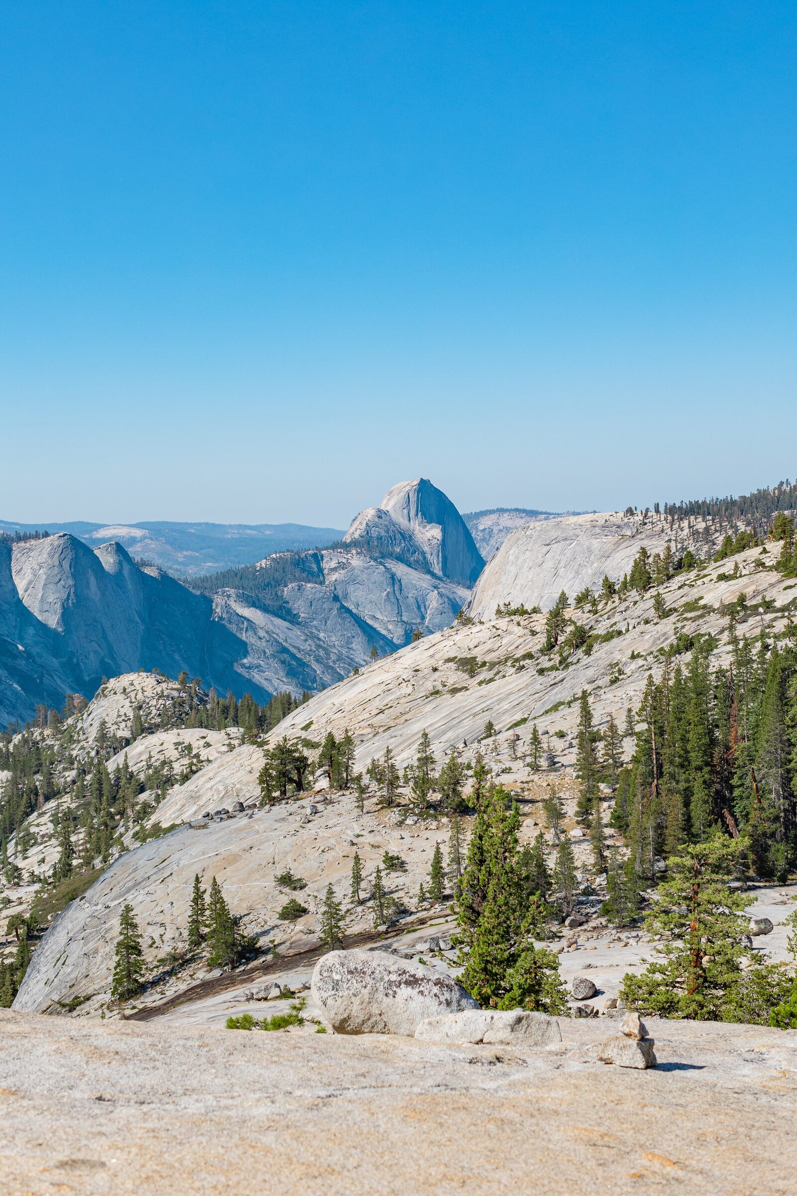 Yosemite-National-Park-Valley-California-Forest-0056