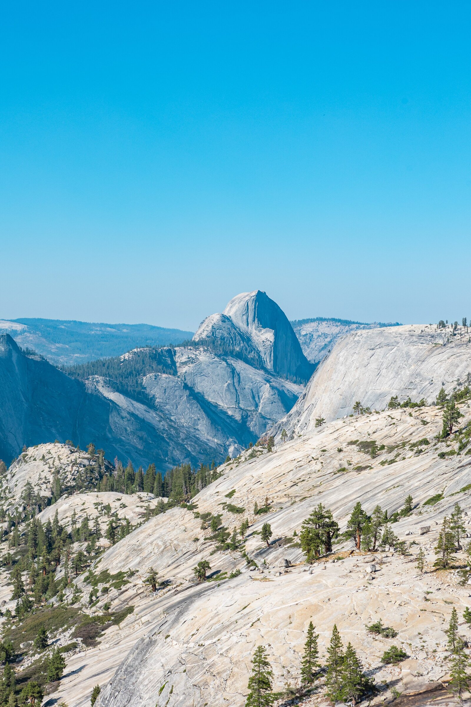 Yosemite-National-Park-Valley-California-Forest-0053