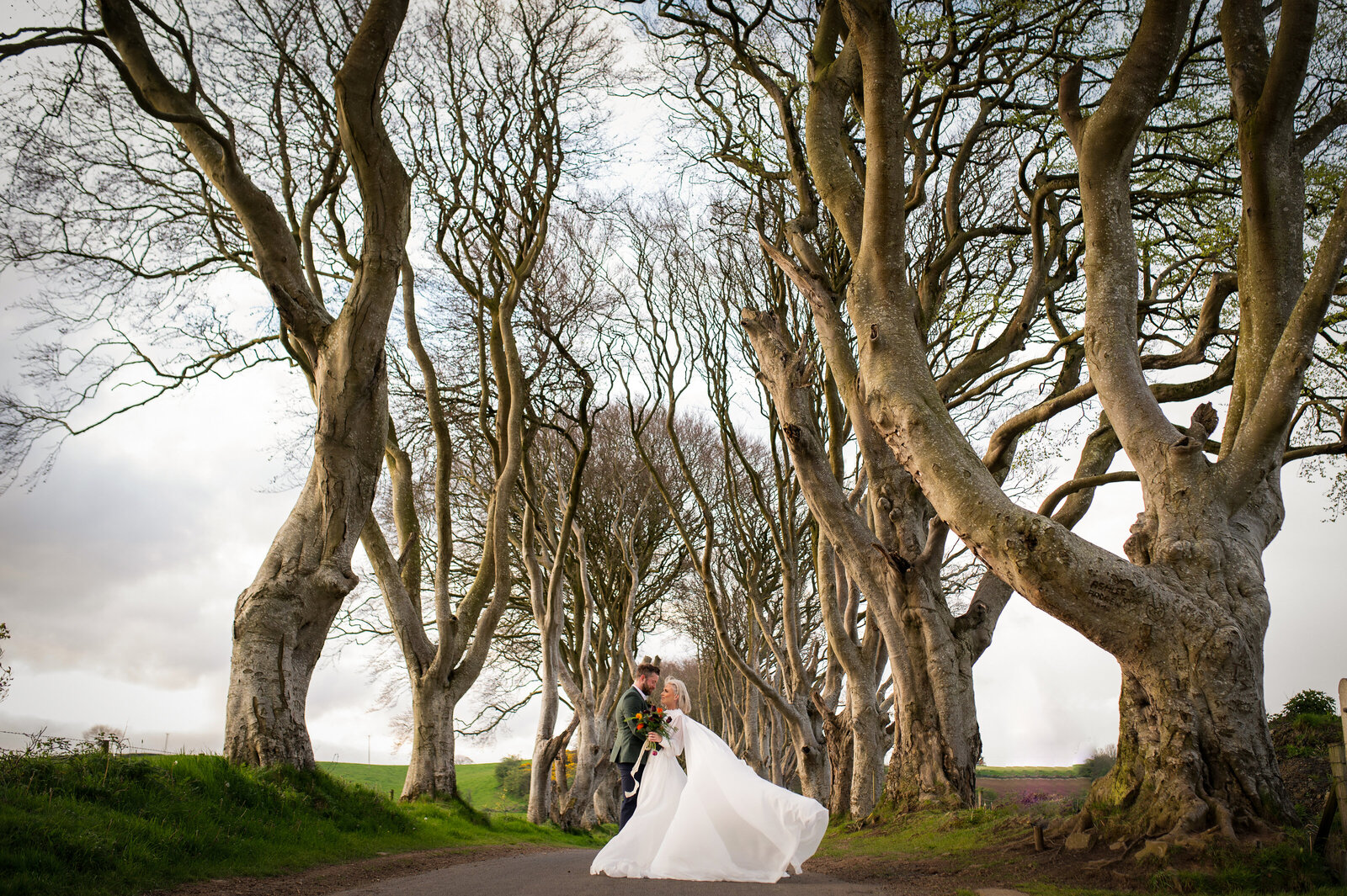 darkhedges-ballintoyharbour-12