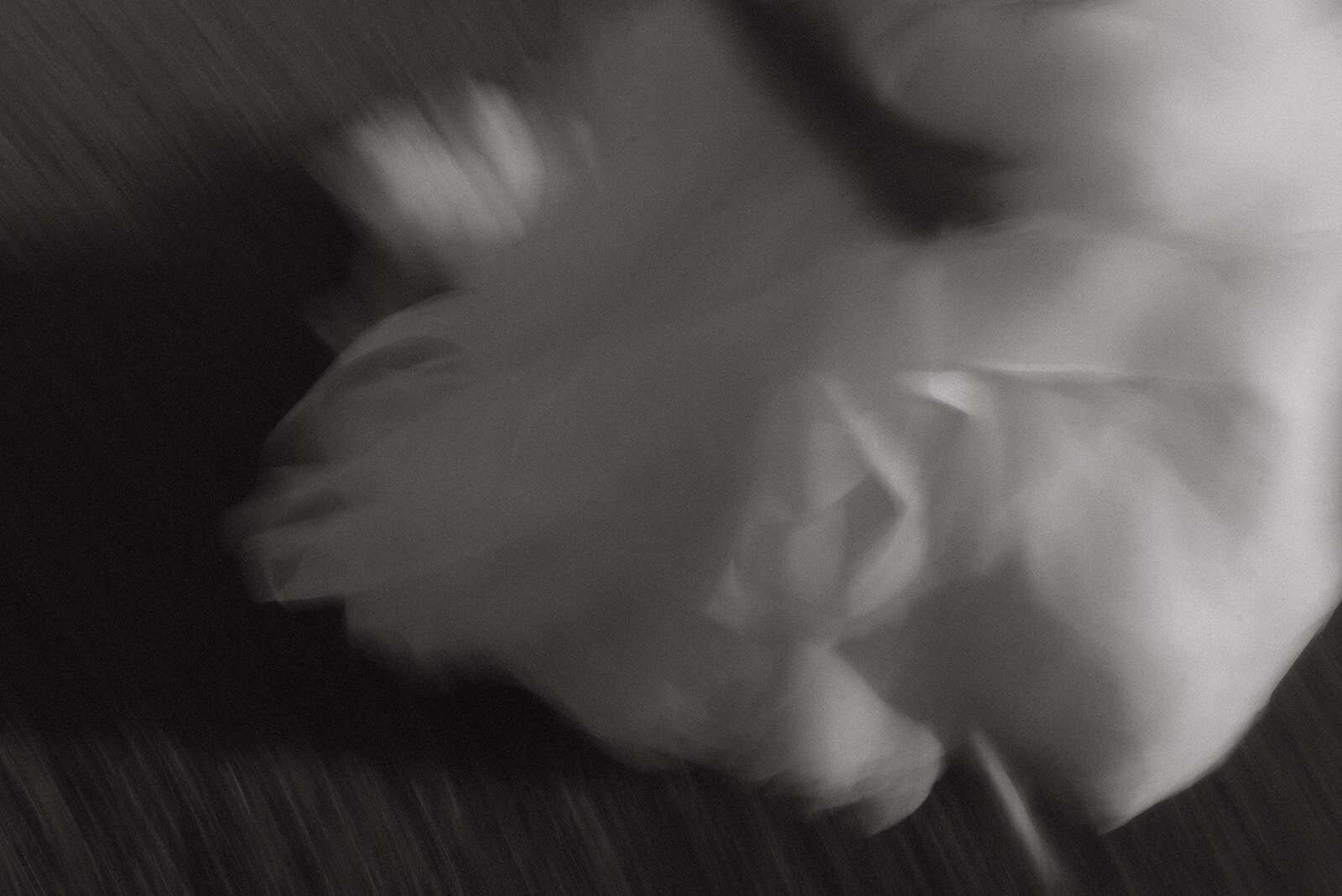 DSC00513-2
