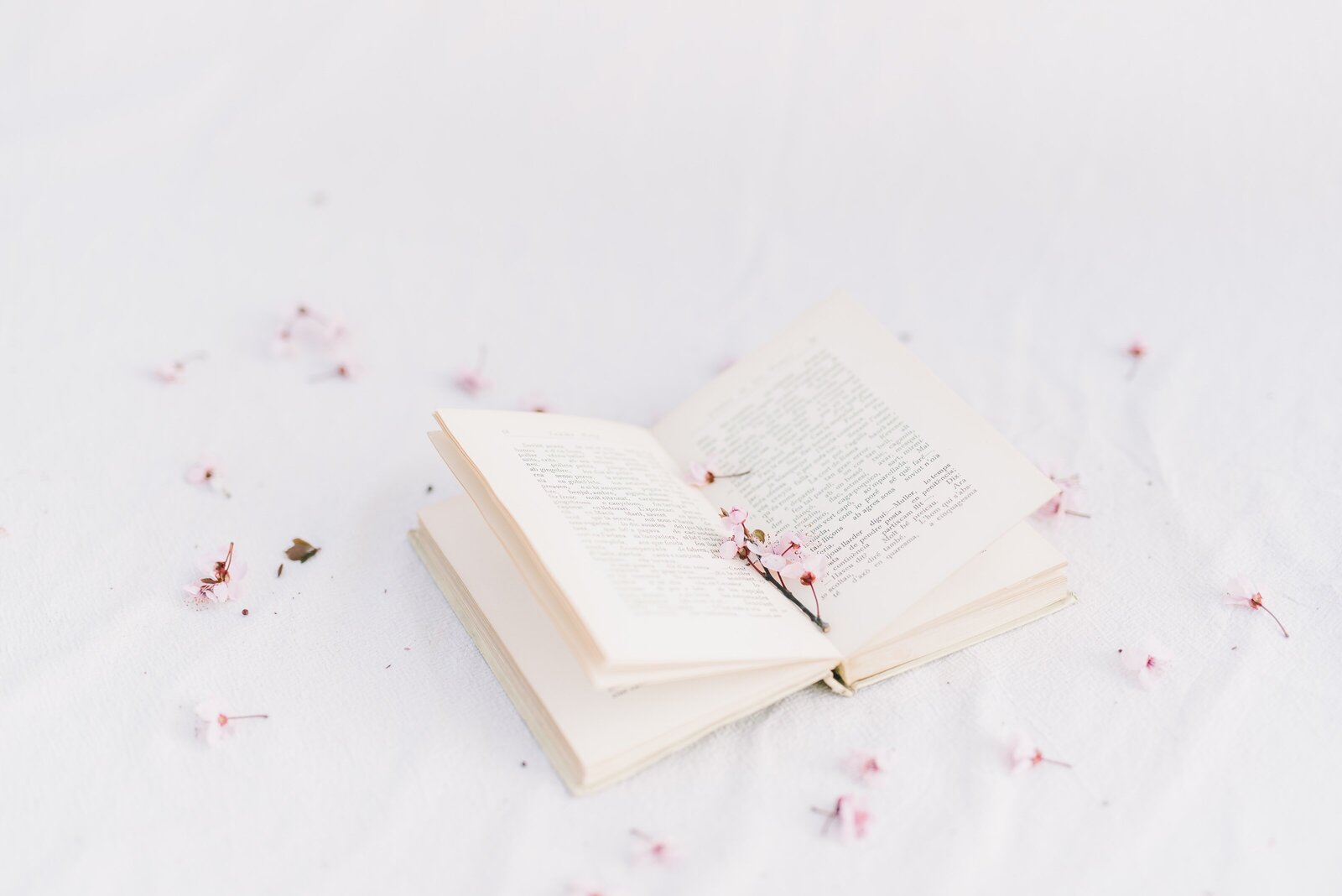 An open book with cherry blossoms on it
