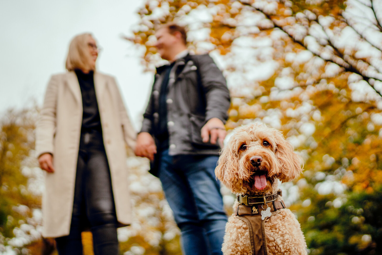 Hamish Irvine Pre Wedding Shoots-15