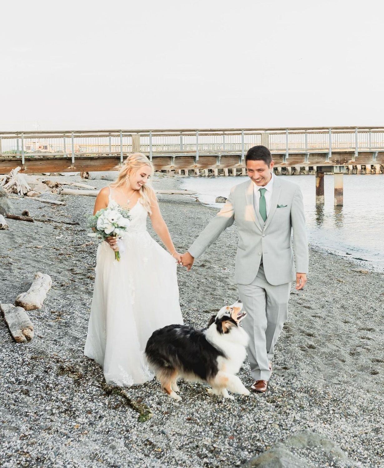 A couple walking along the beach with their dog, enjoying a serene moment