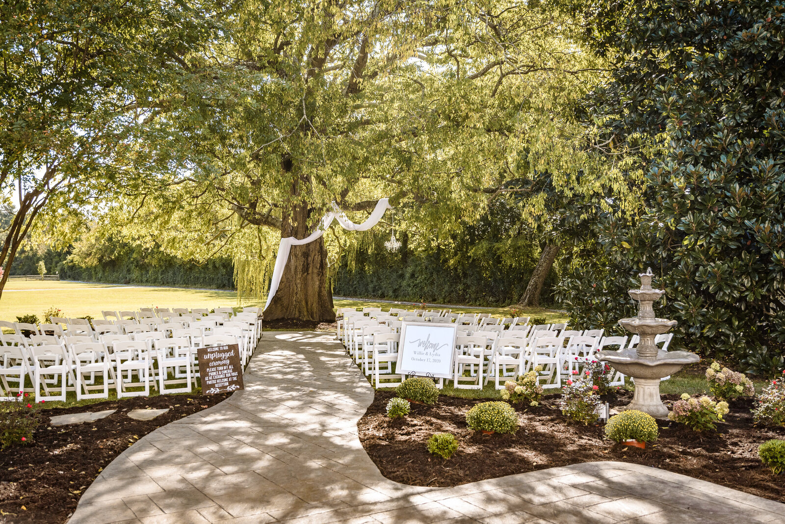 Tree ceremony, tree wedding, outdoor wedding