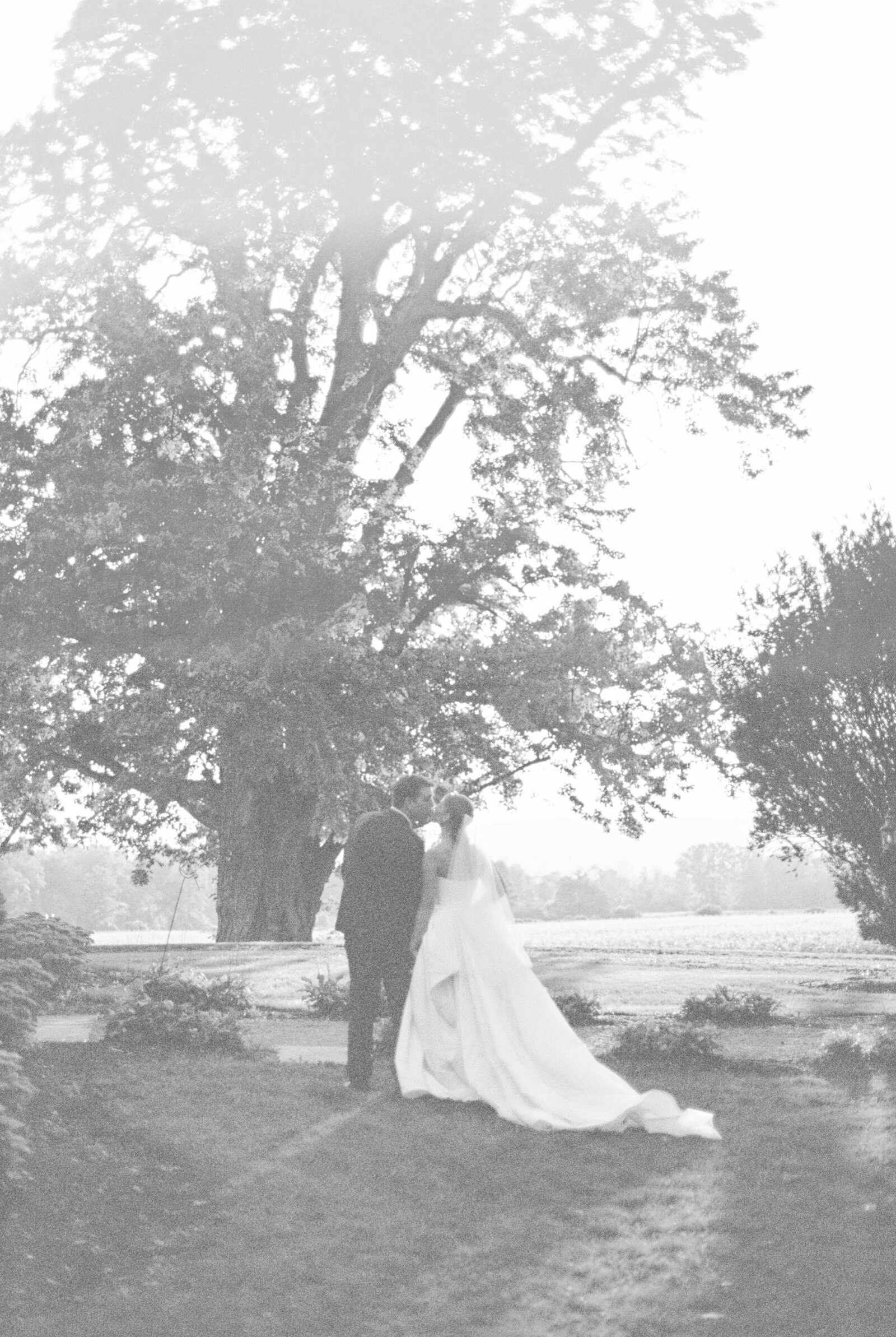 Kam&BrendanWedding-1388