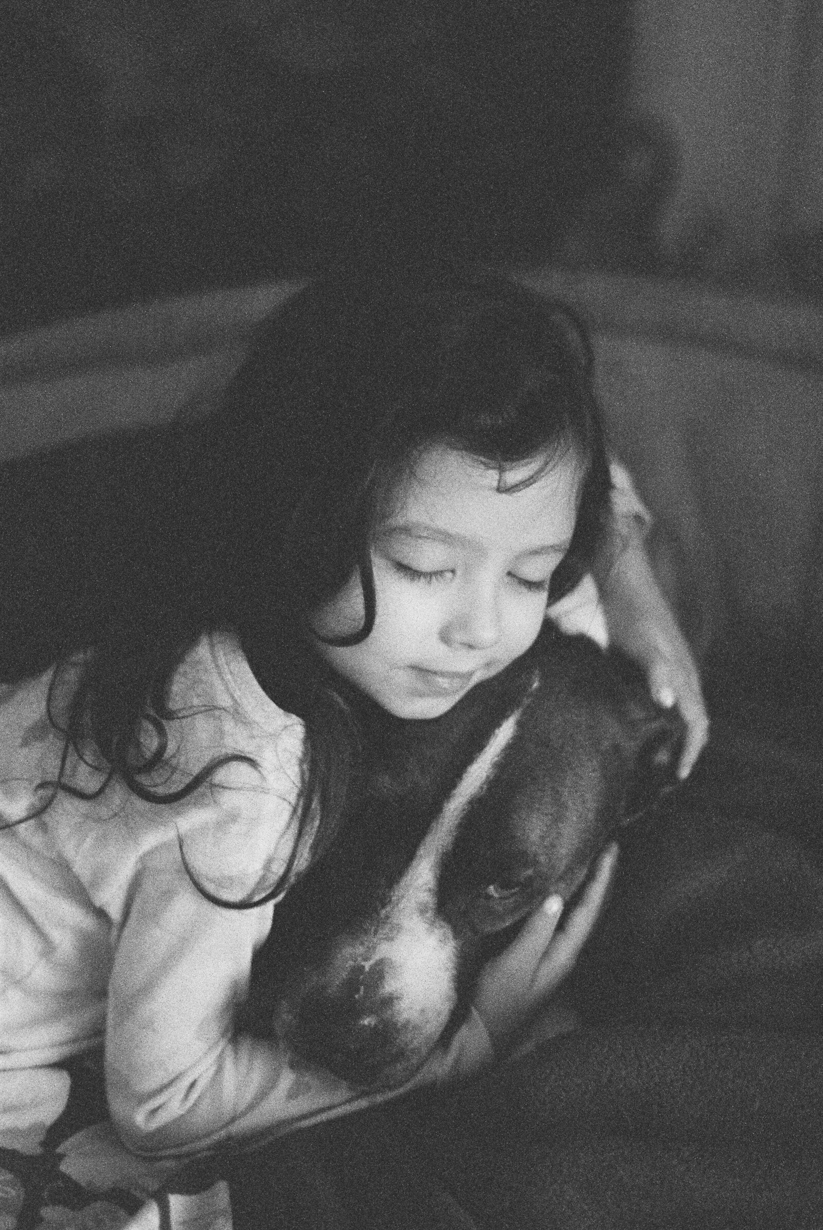 Palo_Alto_Family_Photographer_Film_And_Delight-021