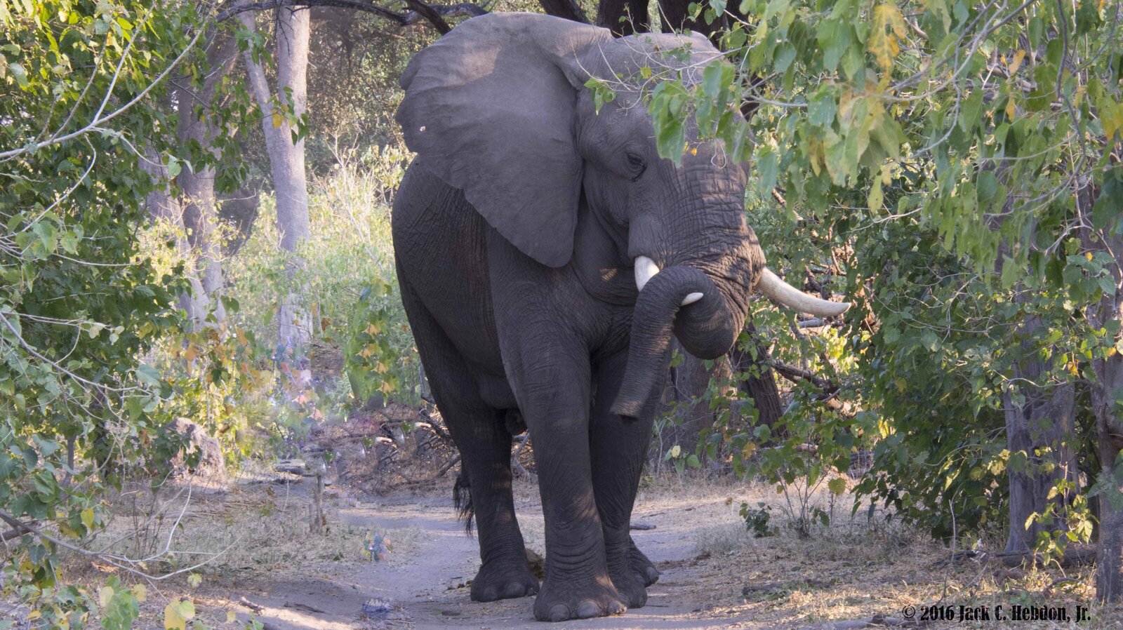 Africa 2016 (20)