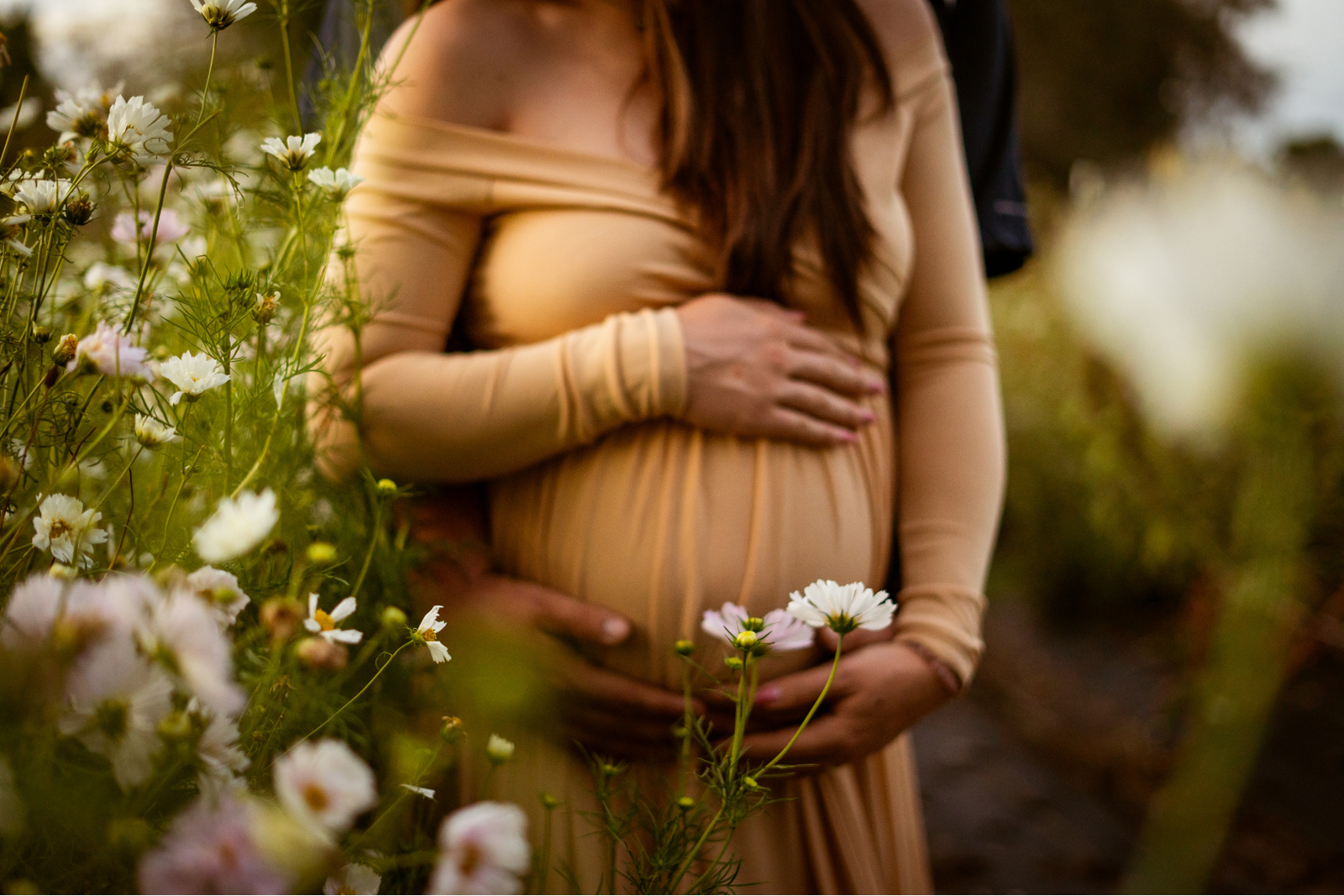 dmc pic edits right size (1620 x 1080 px)