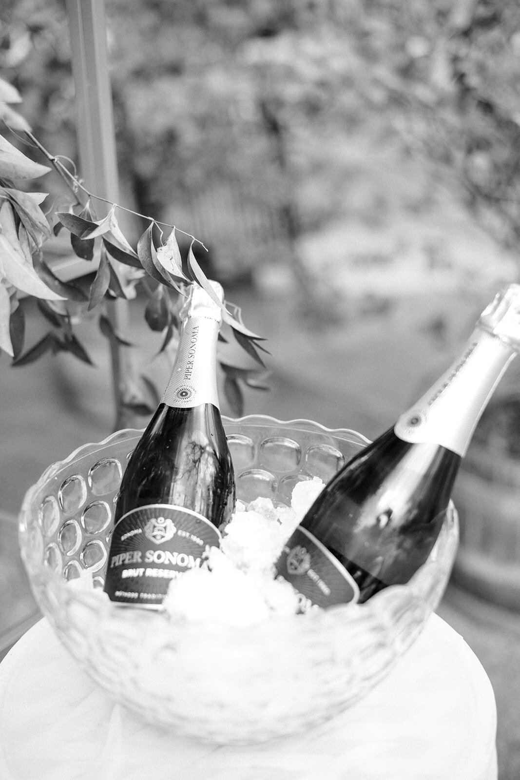Romantic Wedding Ceremony at Union Hill, California