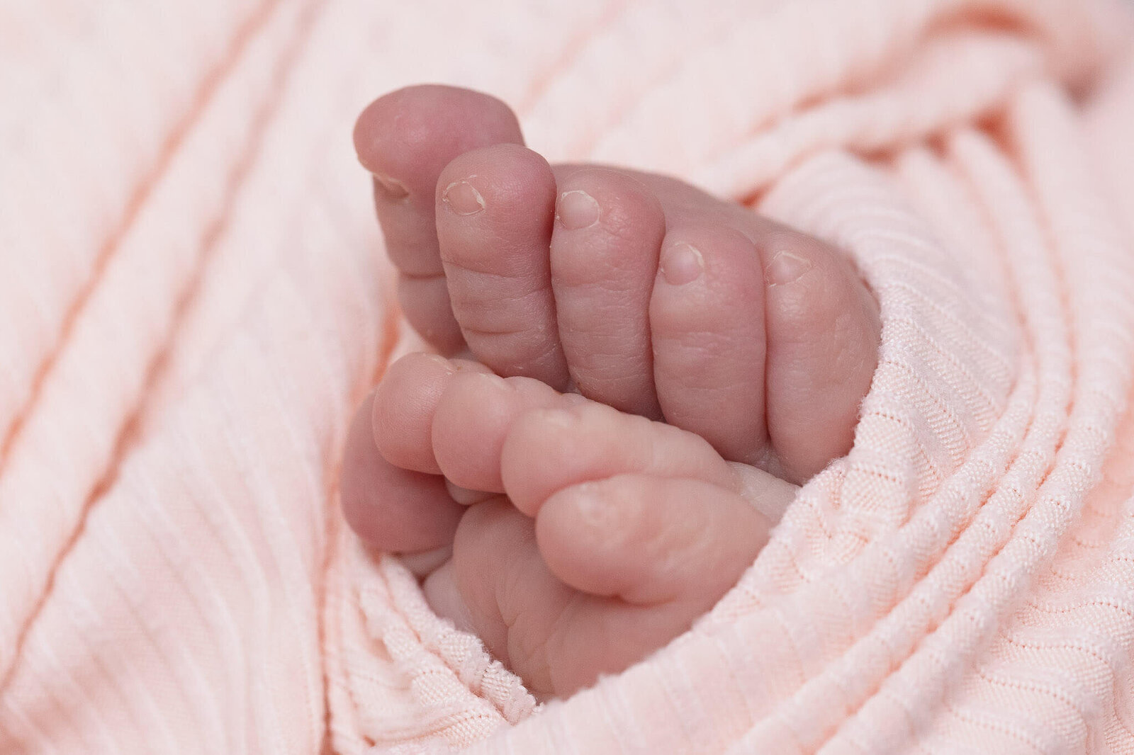 A close-up of newborn baby toes wrapped in pink.