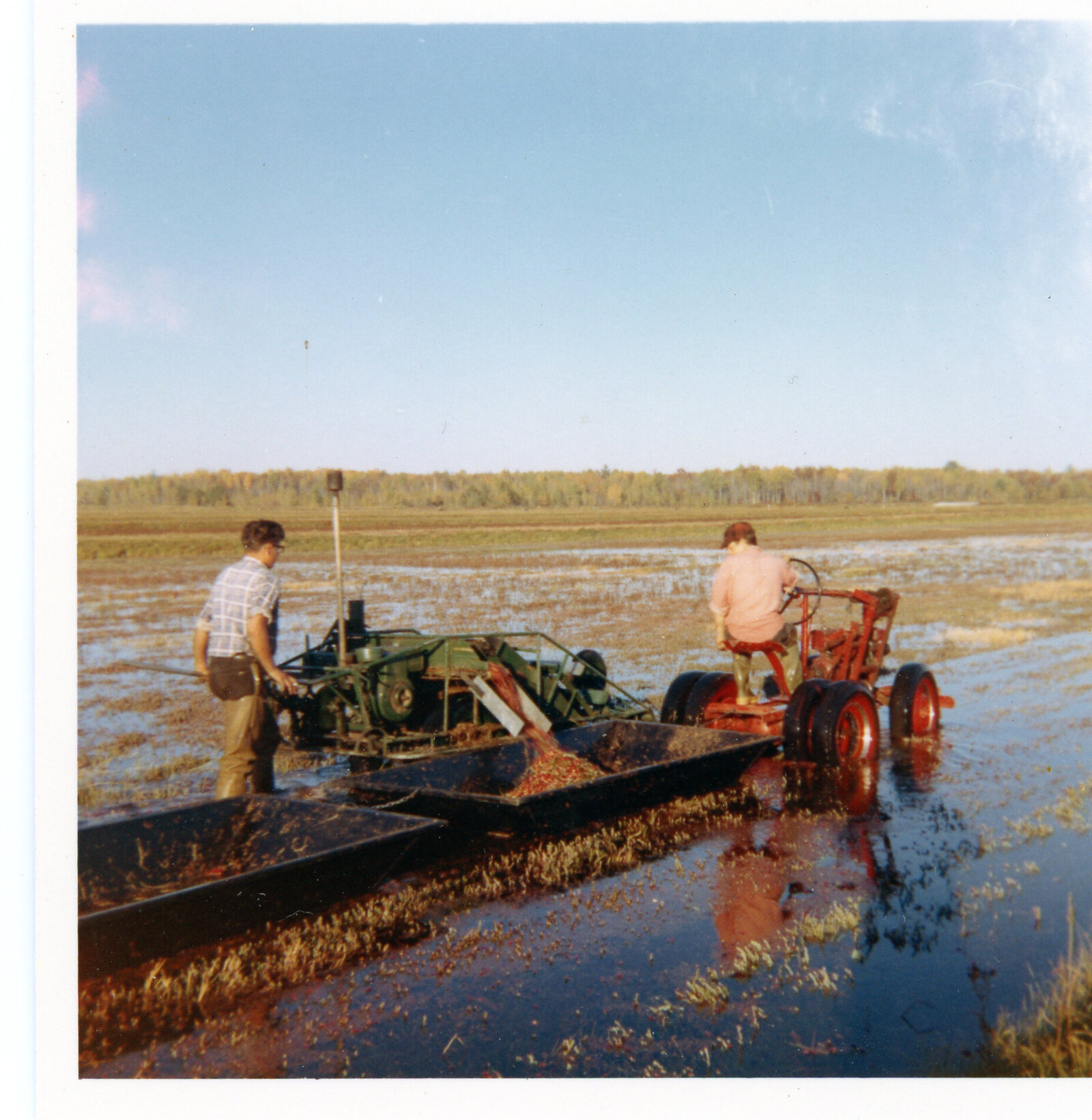 Gen 2 - 1960s Koller Harvest (9)