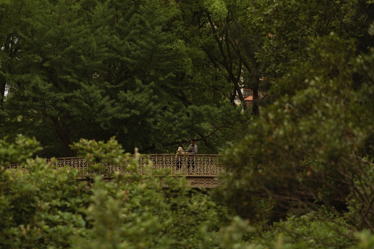 new-york-city-couples-photos-05