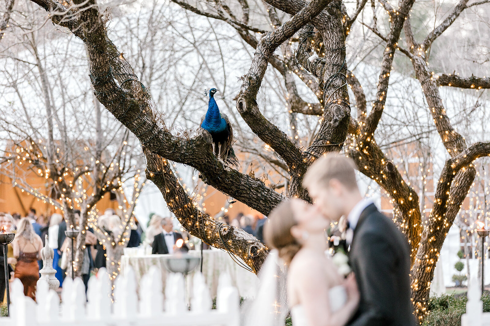 Forever Love Chicago Wedding Photographer-123