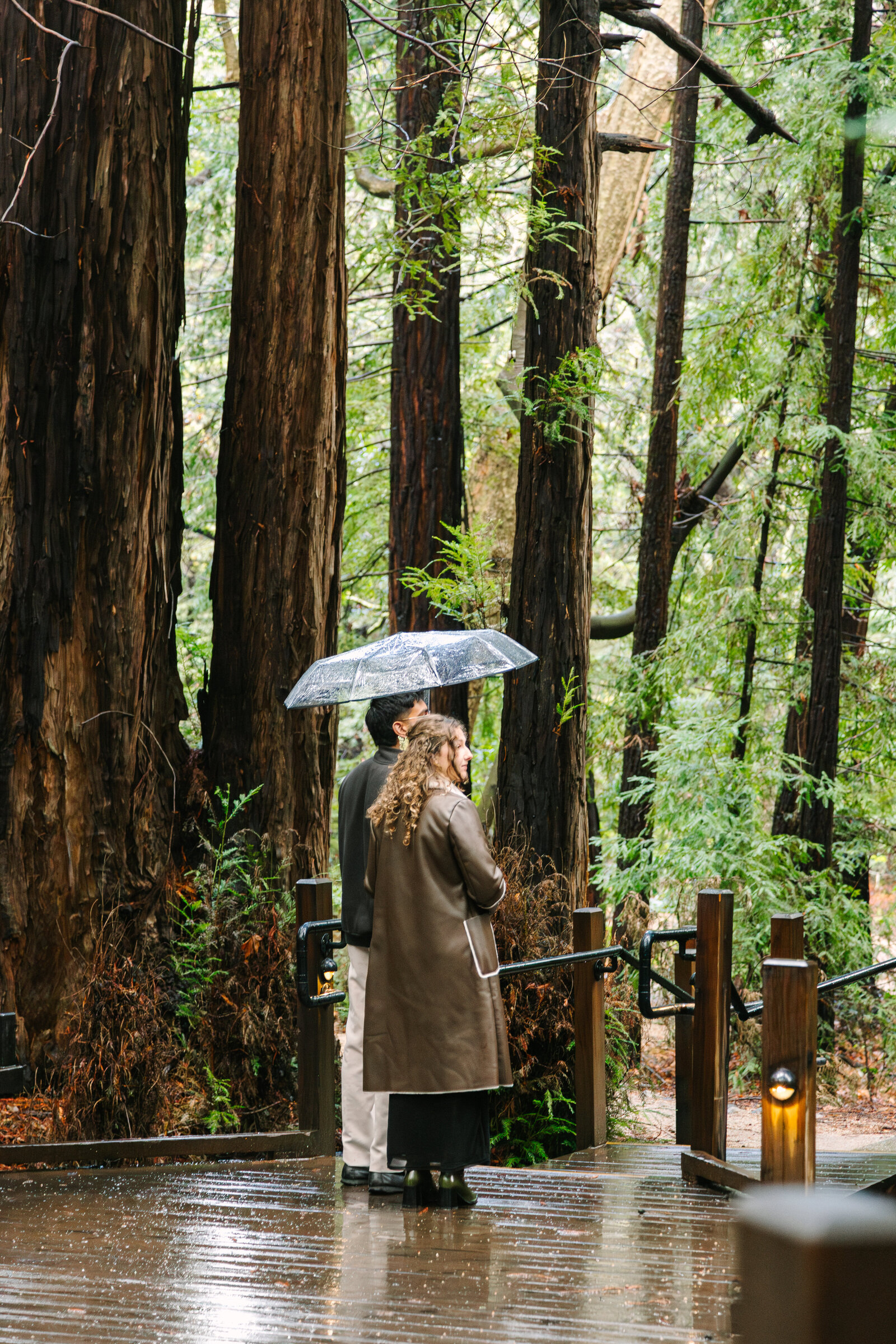 Big Sur Proposal Manjanatha-9