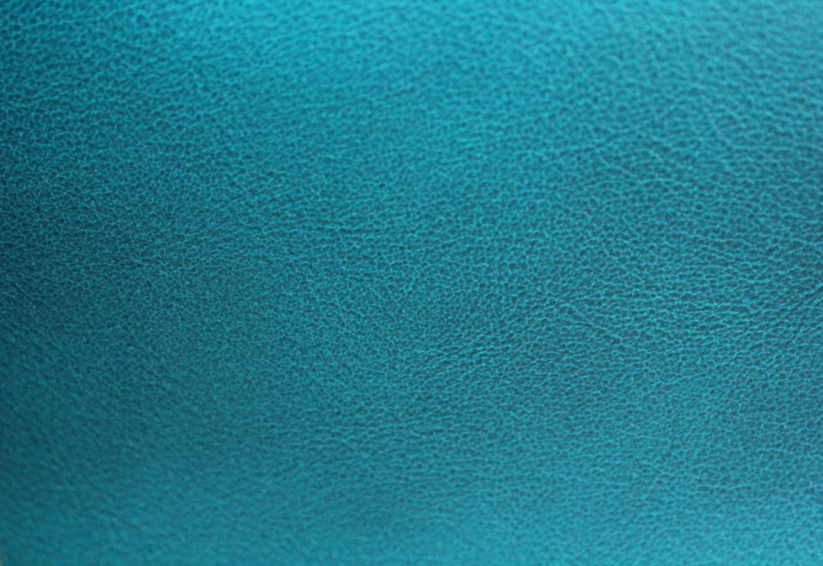 Amadeus  Aquamarine Leather