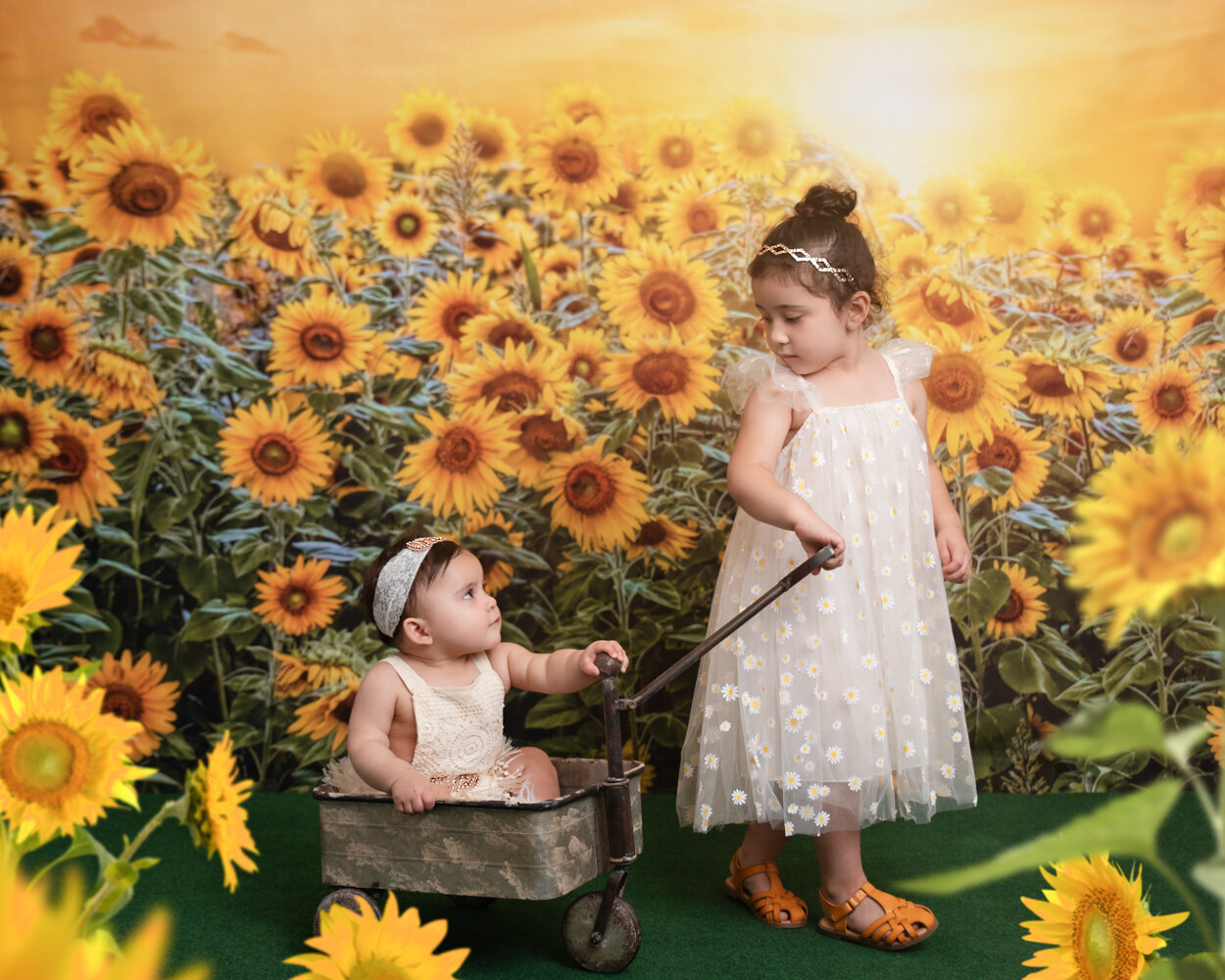 Helmetta_NJ_First_Birthday_Sunflower_Field_With_Sibling