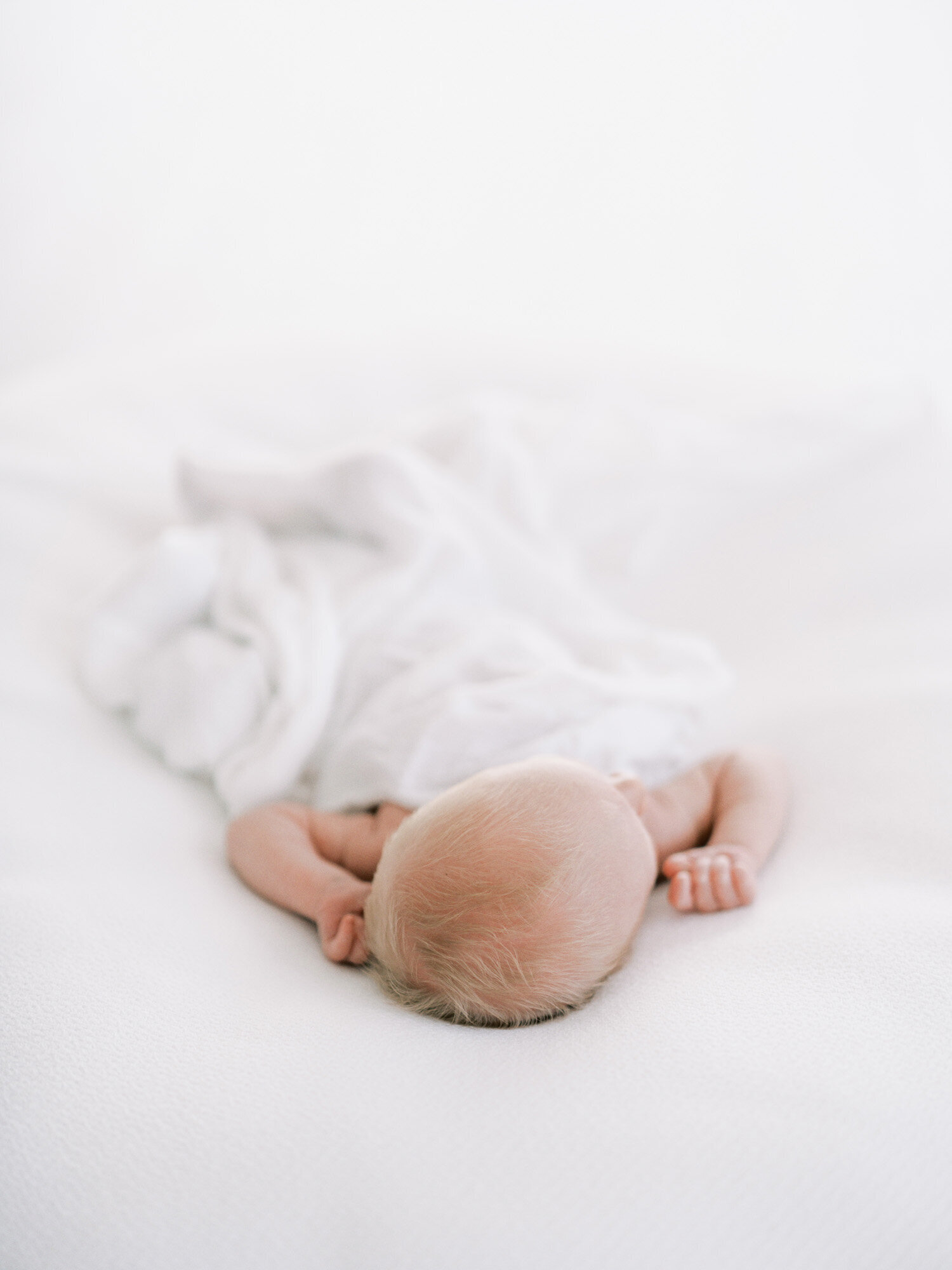 newborn-portraits_086