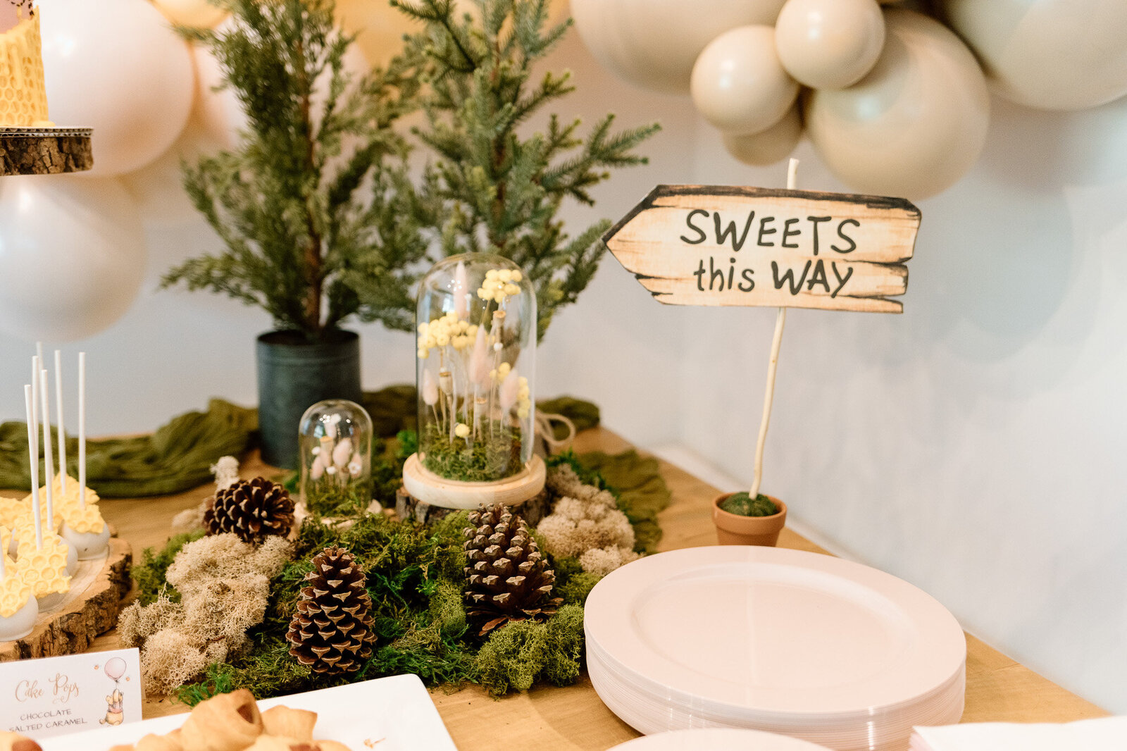 winnie-the-pooh-smash-cake-party-photography (9)