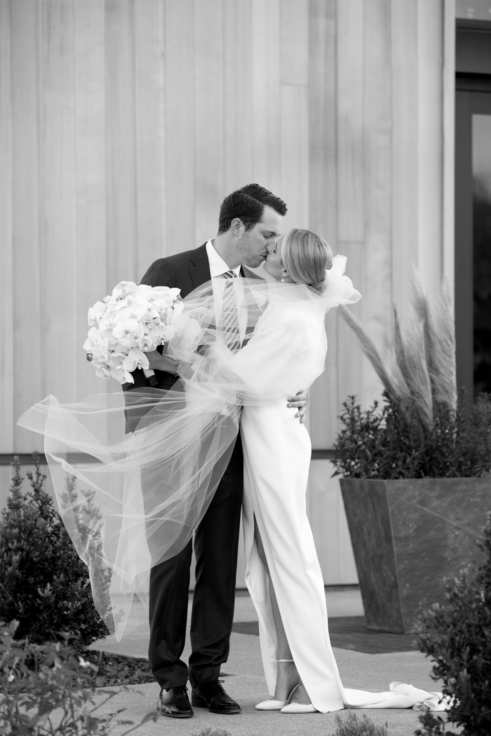 Black and white outdoor wedding ceremony with guests and party under a big tree by Suzanne Karp Photography