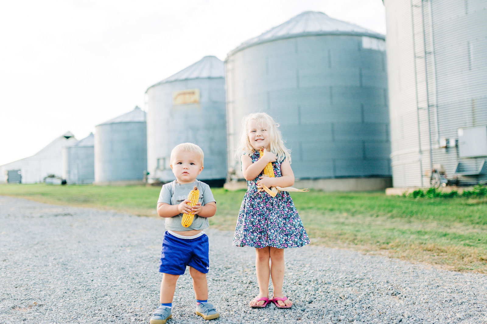 RippyFarms2019-11