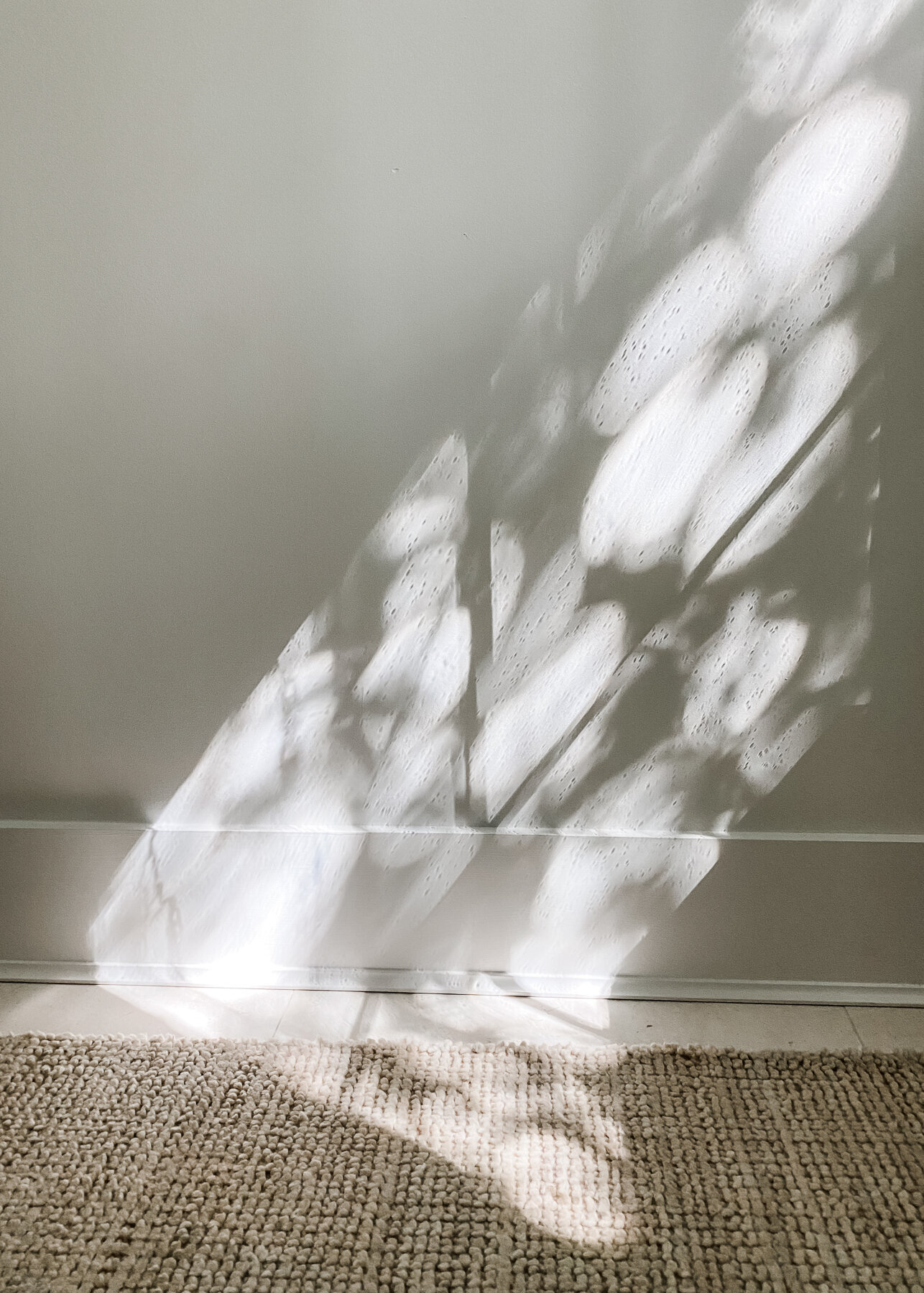 Light From Window Shining on Floor