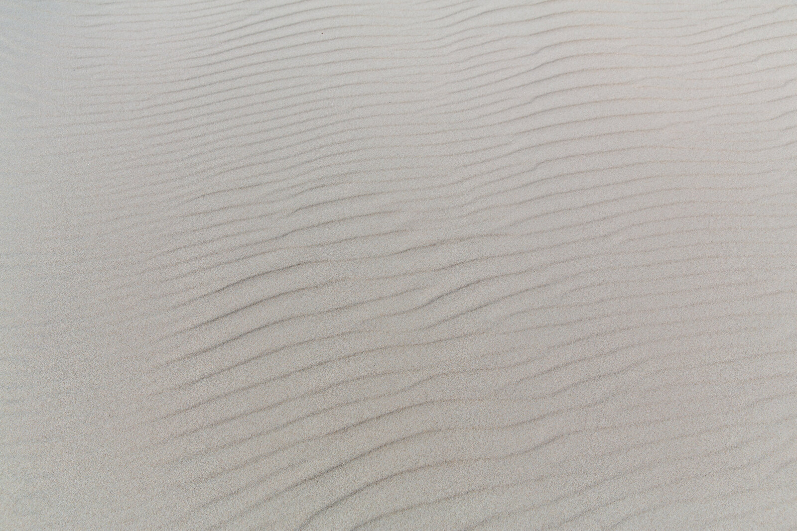 photos_2019_2_13_fst_wrinkled-sand-texture_IWlJz6I