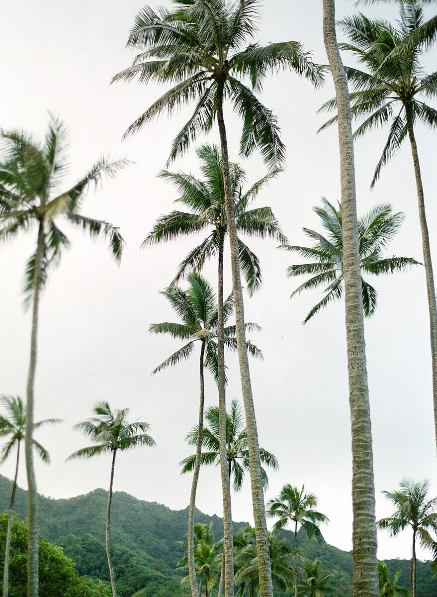 santo beach - studiomhilarius - 6