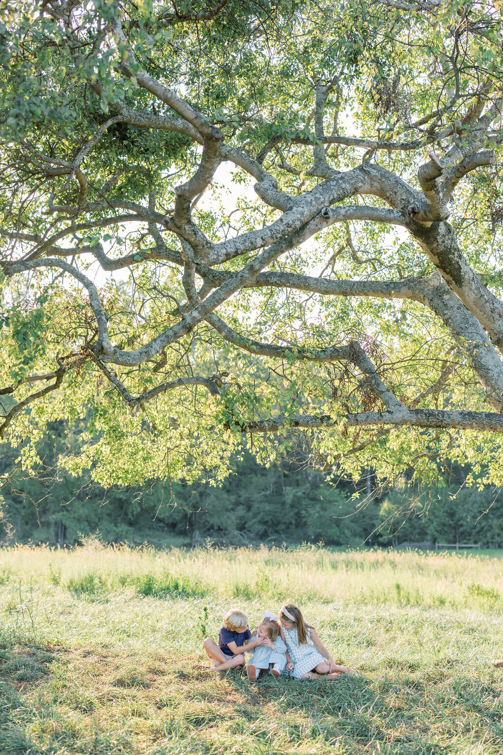 Three kids sit under tree with big branches in Athens field