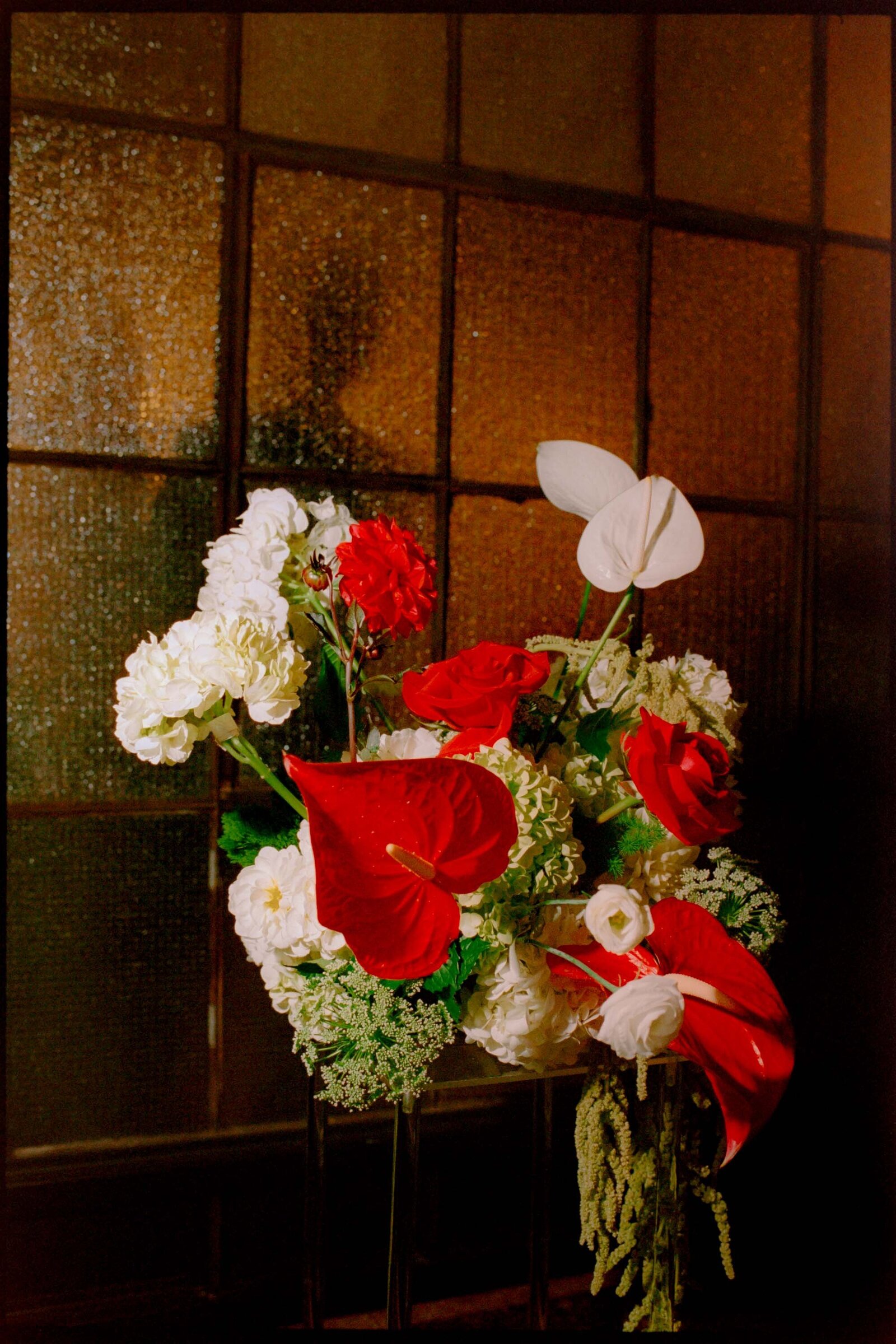 Wedding-Photographer-Film-Jess-Buckley-Philadelphia-34