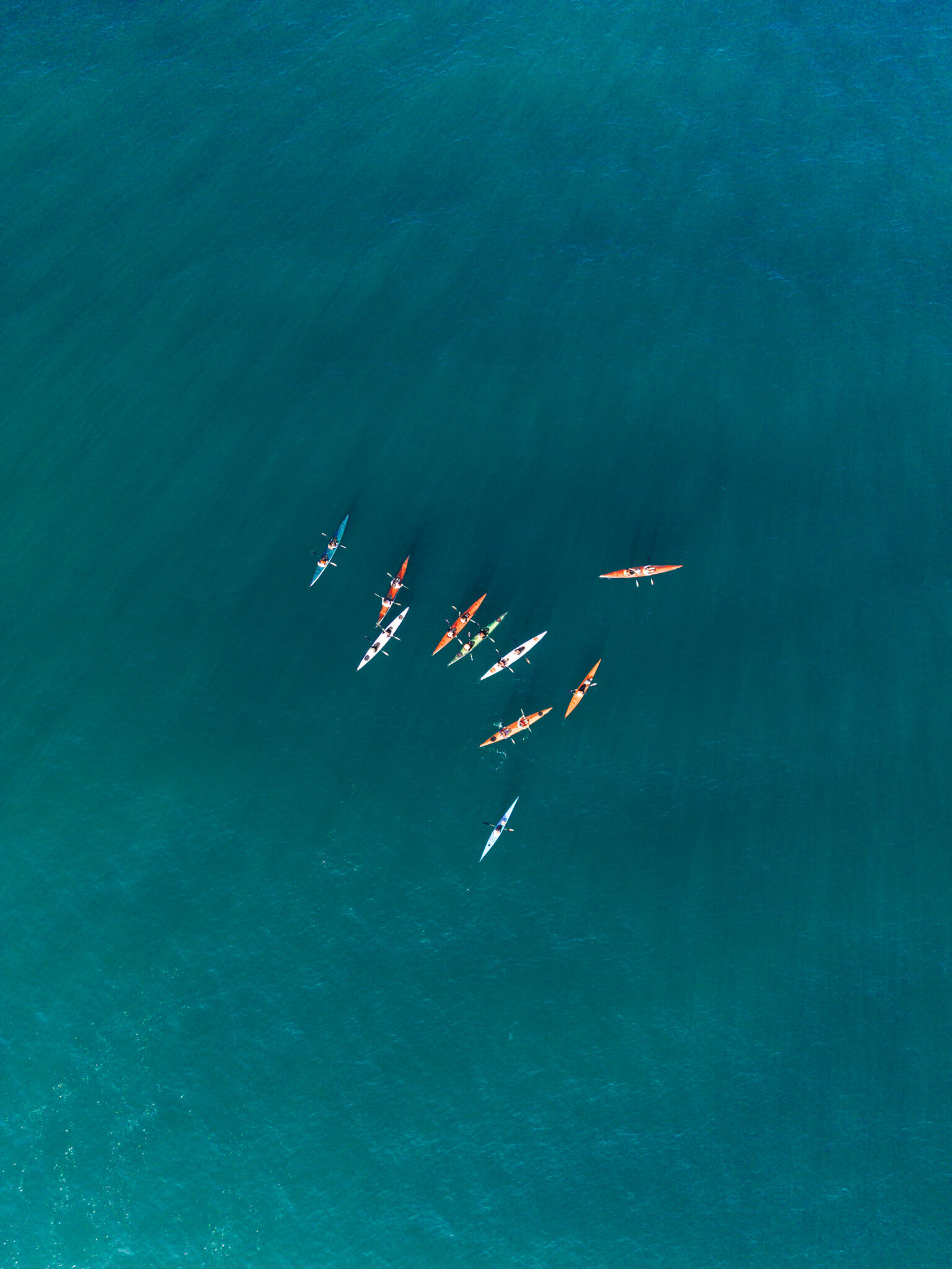 DJI_0519