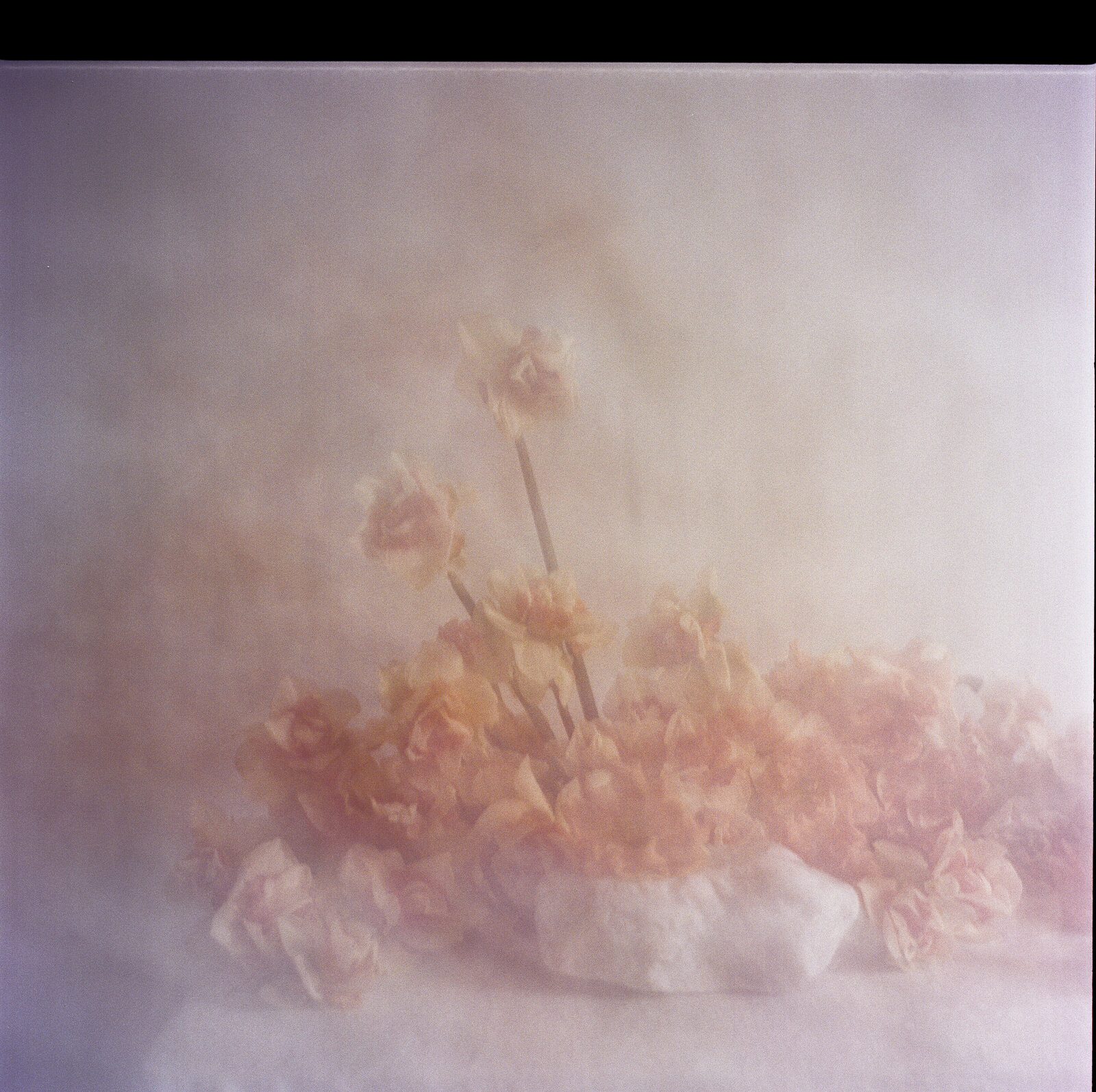 boston_film_photographer_shade_studio-3