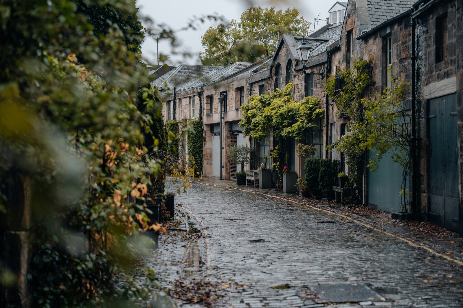 georgi-kalaydzhiev-S0Z9E4MbTBY-unsplash