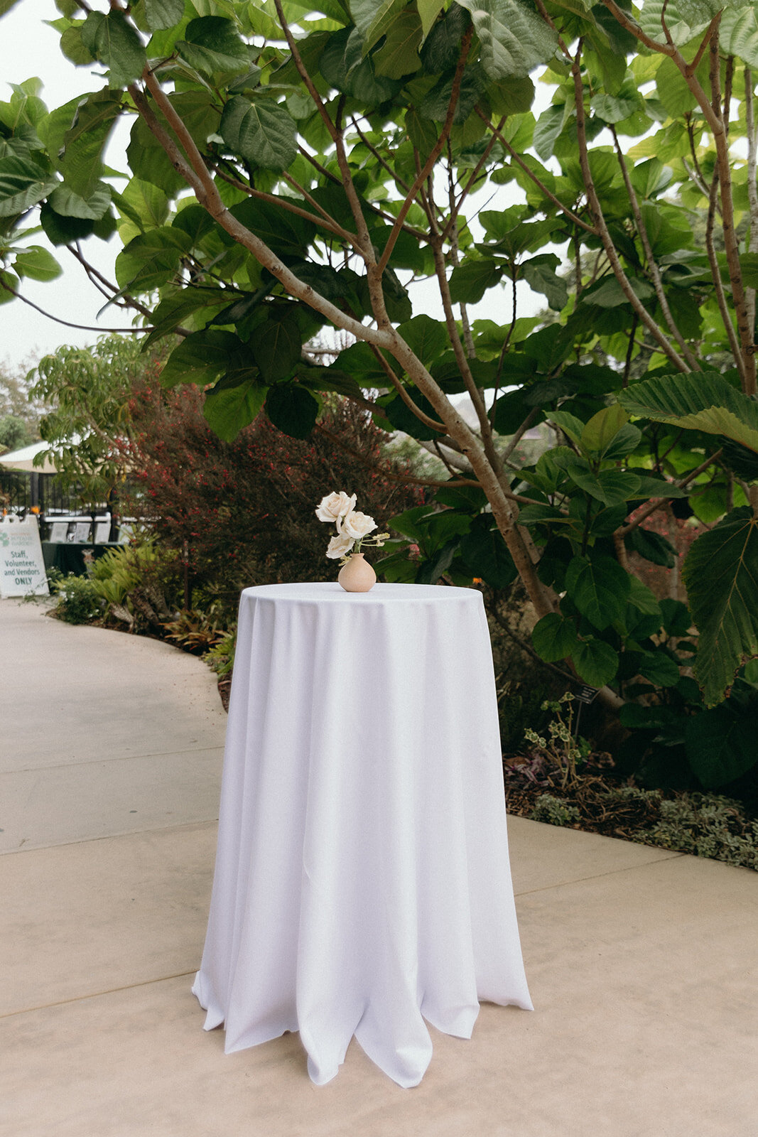 imanleeevents-sandiegoeventplanner-sandiegopartyplanner-sandiegobotanicgardens20241004_16_58_21