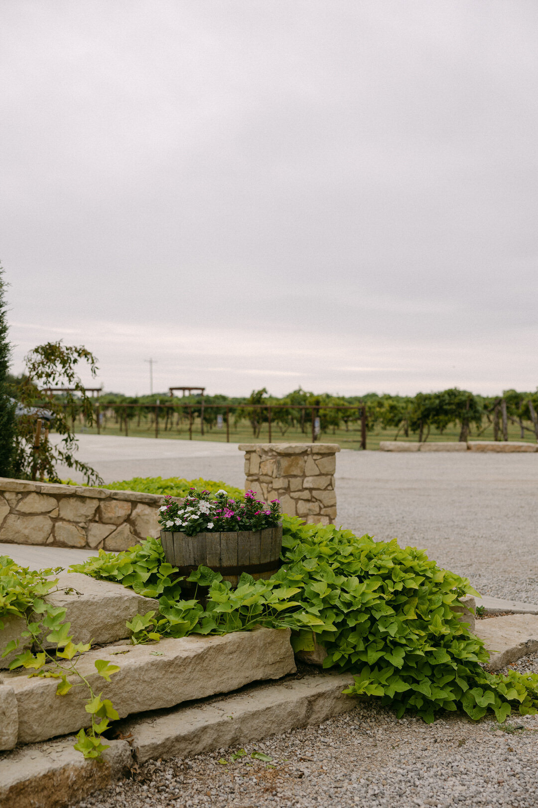 haley-grant-prairie-hill-vineyard-wedding-kayxbee-1