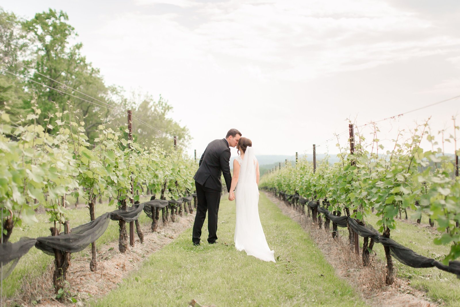 vineyard-wedding_0048
