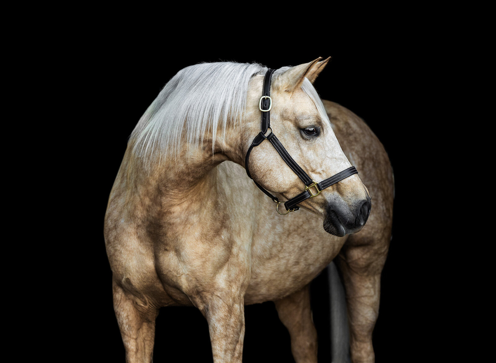 chica-1