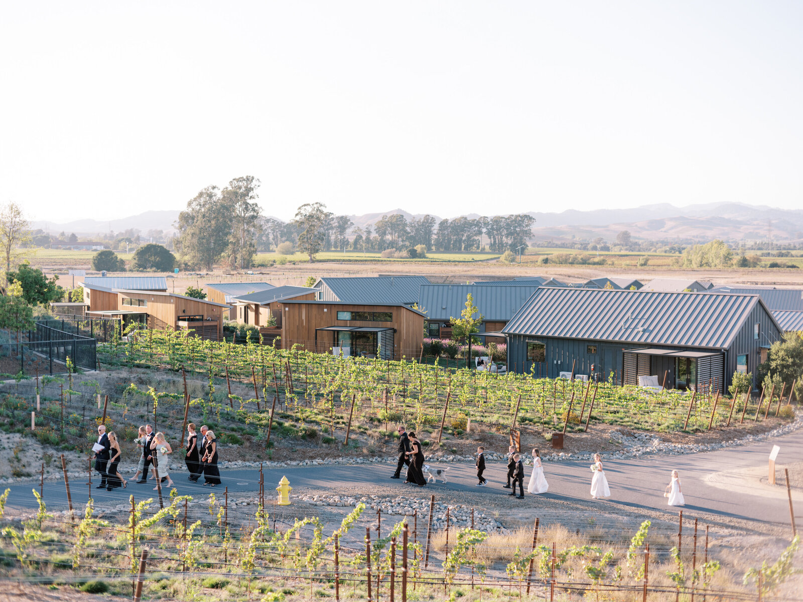 Stanly Ranch Wedding Photographer-0039