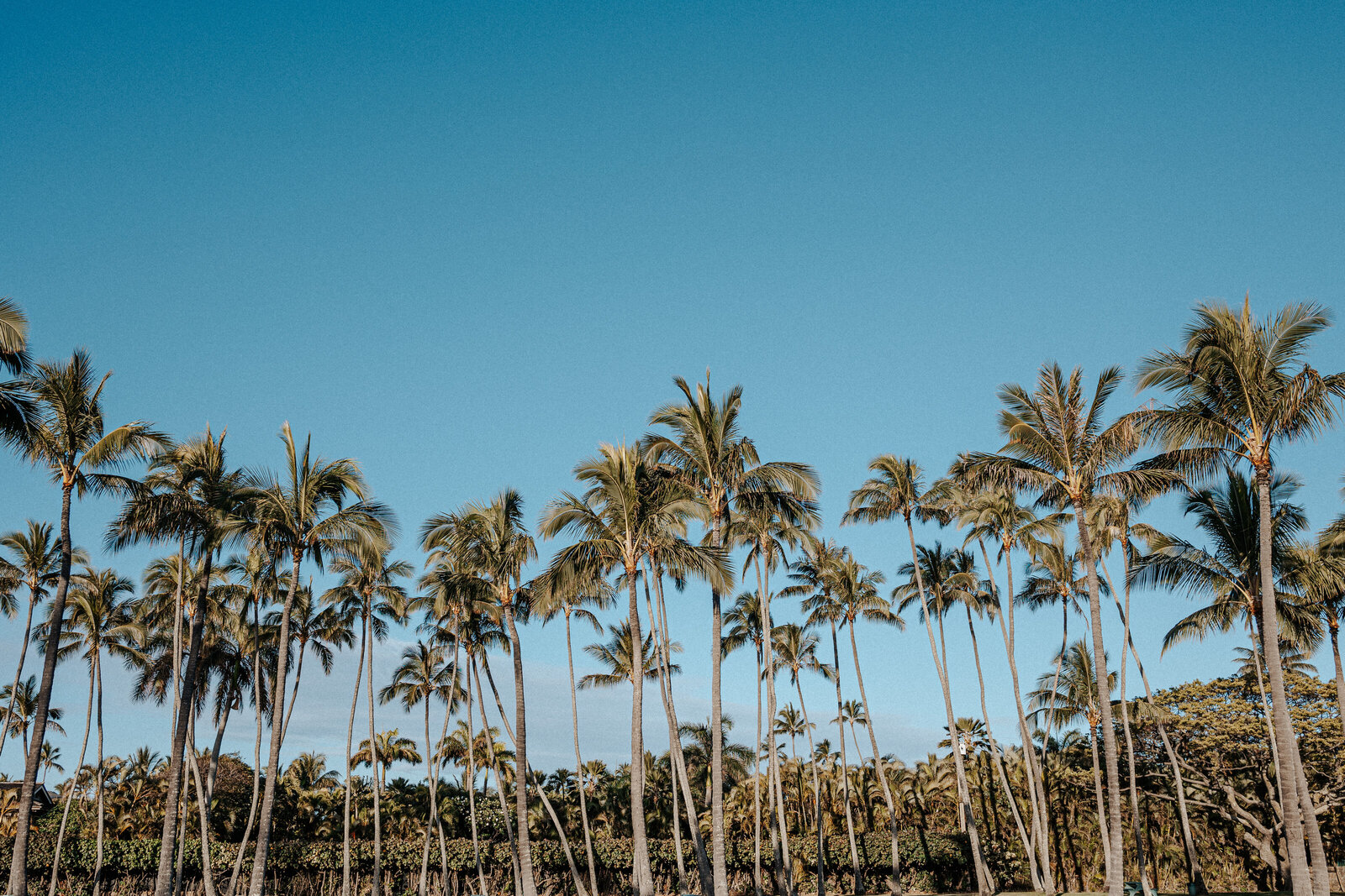 kahala-beach-graduation-portraits-74